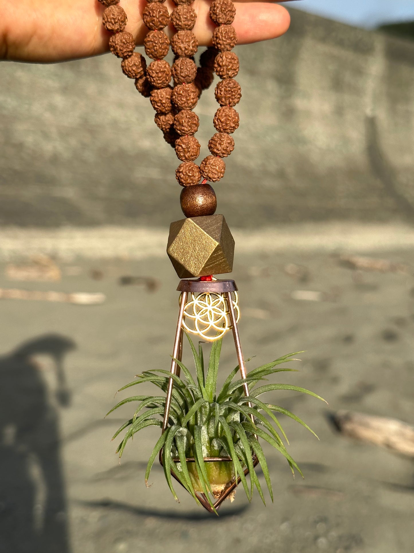 Rudraksha Monk Prayer Bead Air Plant Necklace