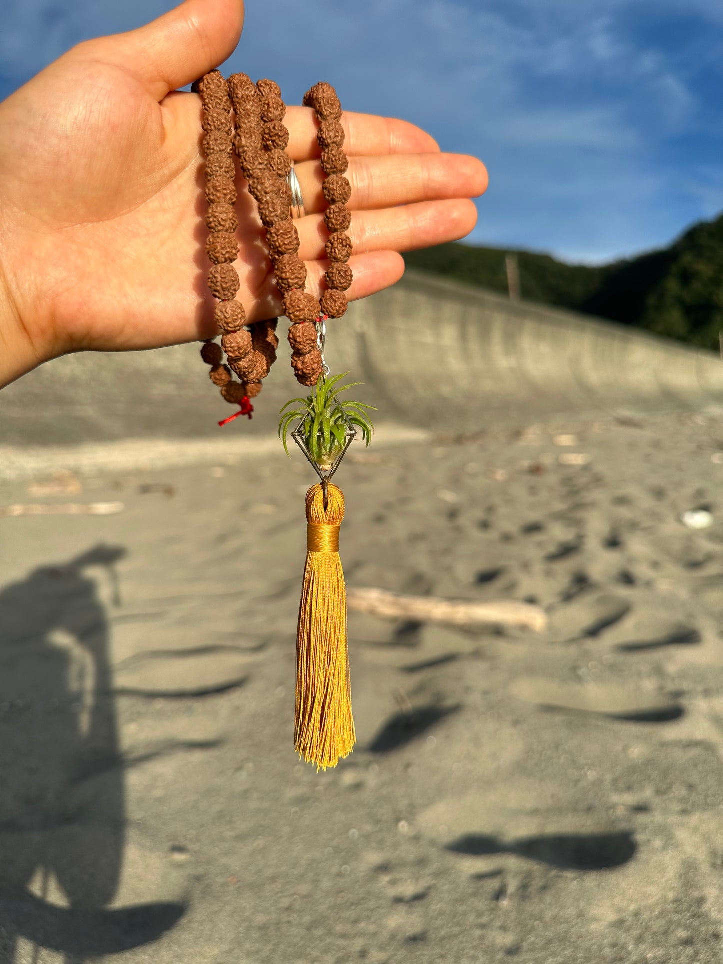 Rudraksha Monk Prayer Bead Air Plant Necklace