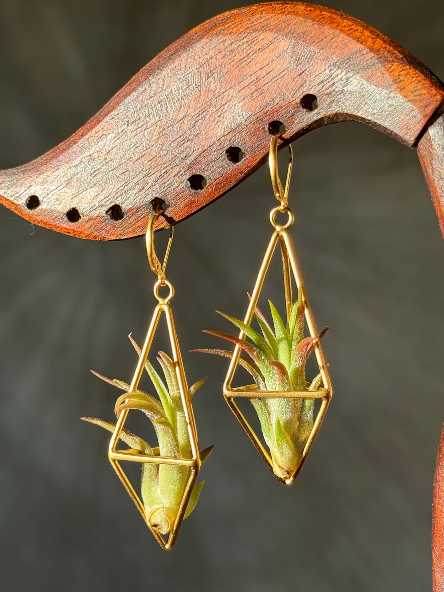 24K Gold Long Tetrahedron Air Plant Earrings ~ Minimalist Geometric Earrings