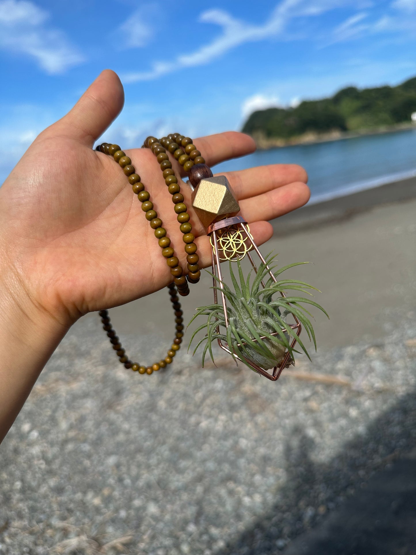 Air Plant Terrarium Sandalwood Bead Necklace ~ Buddha Monk Prayer Beads