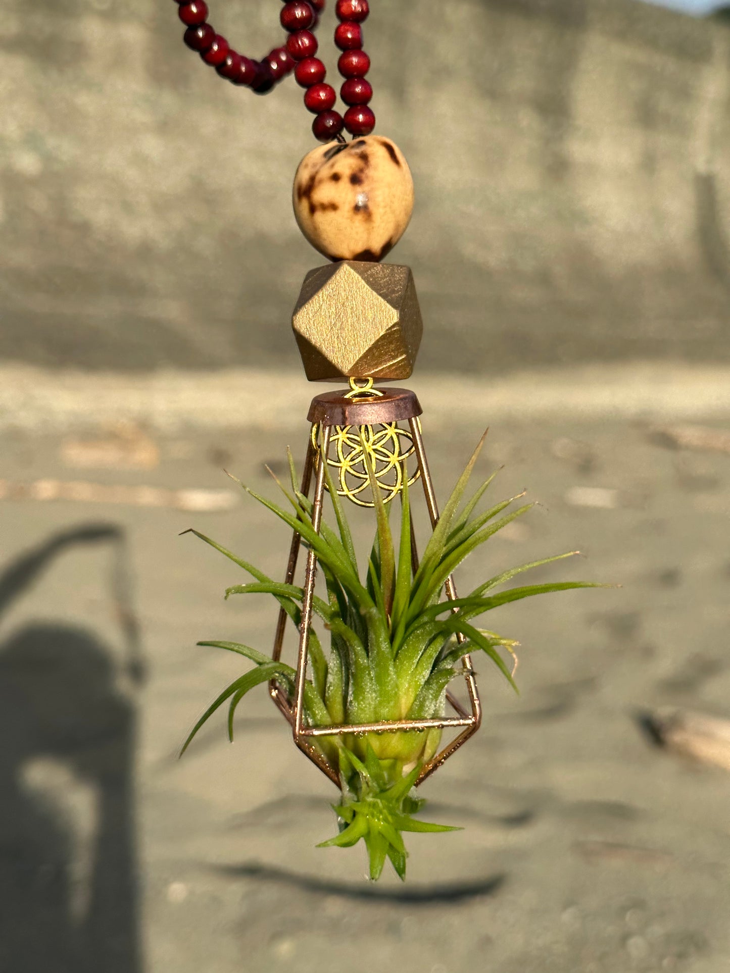 Air Plant Terrarium Sandalwood Bead Necklace ~ Buddha Monk Prayer Beads