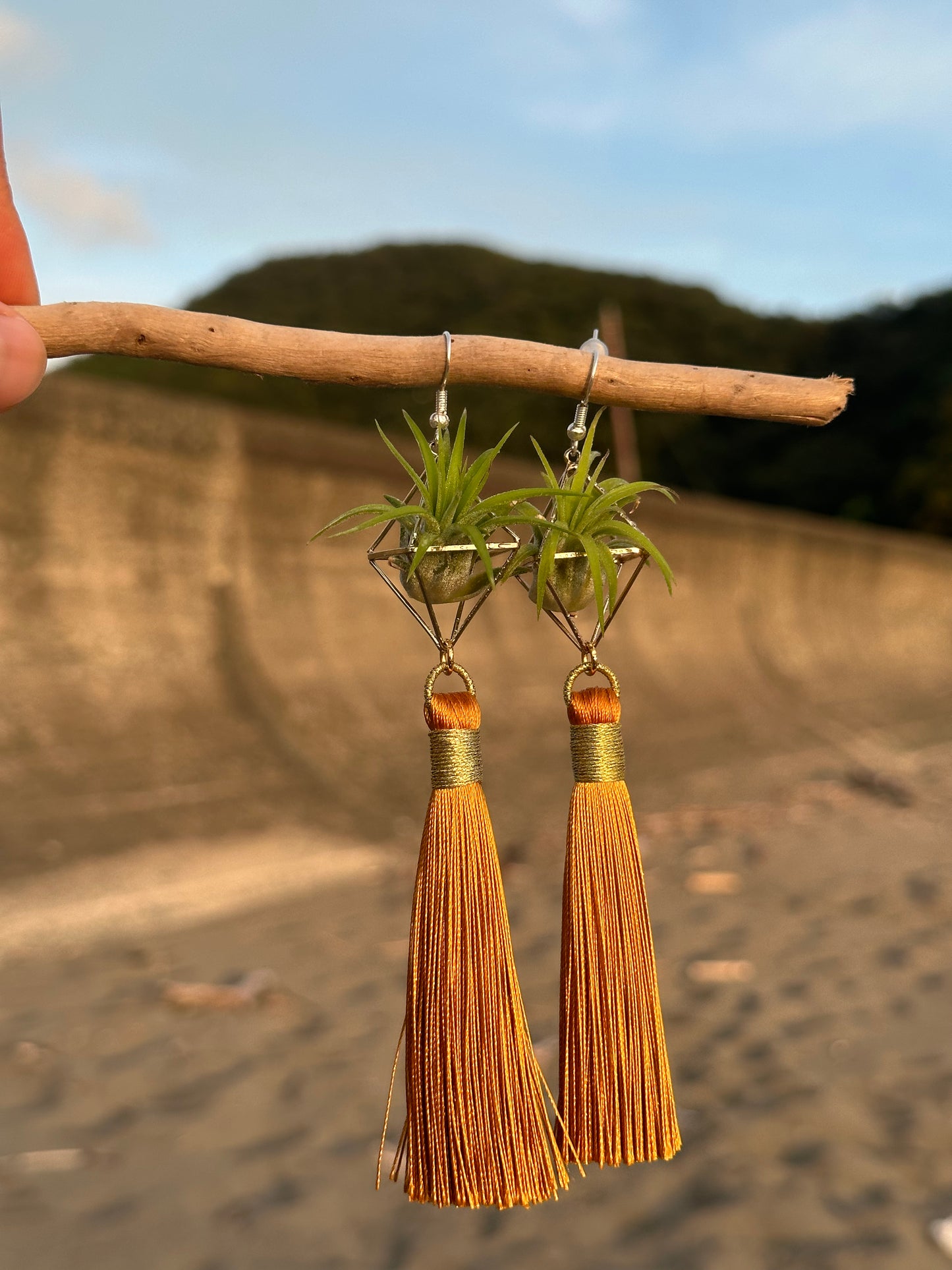 Royal Gold Tassel Air Plant Earrings