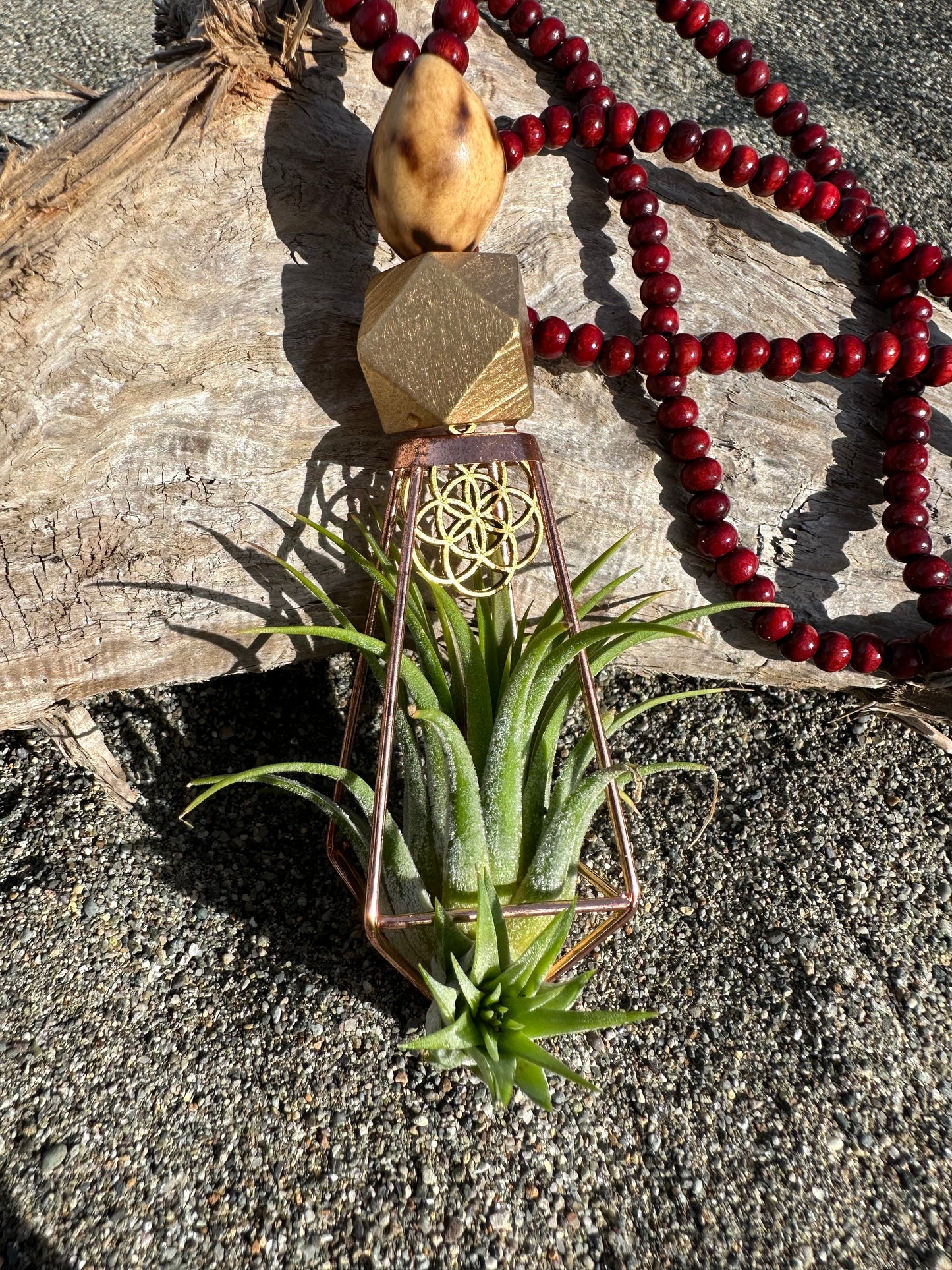 Air Plant Terrarium Sandalwood Bead Necklace ~ Buddha Monk Prayer Beads