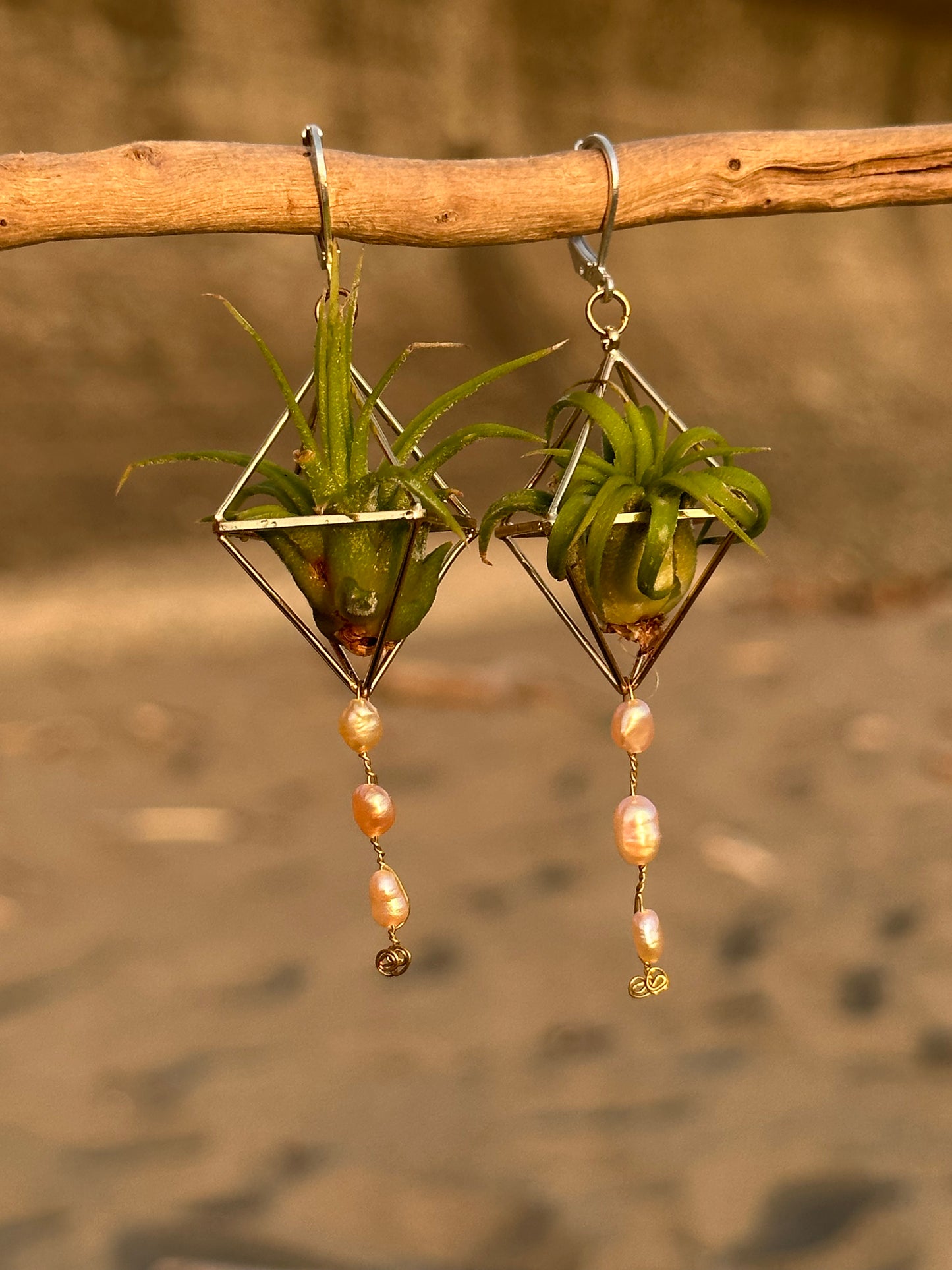 Pearl Dangle Air Plant Earrings