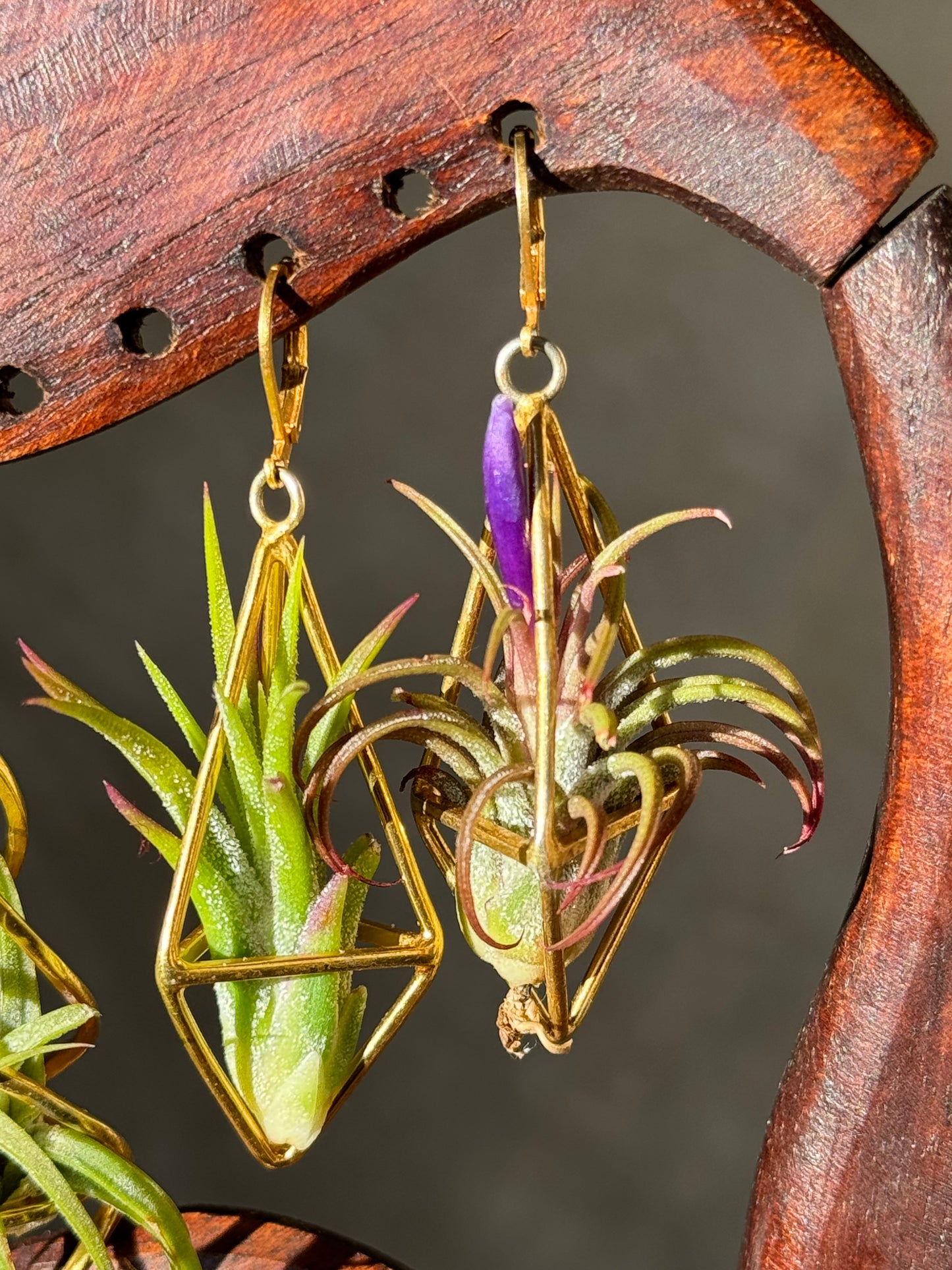 24K Gold Long Tetrahedron Air Plant Earrings ~ Minimalist Geometric Earrings