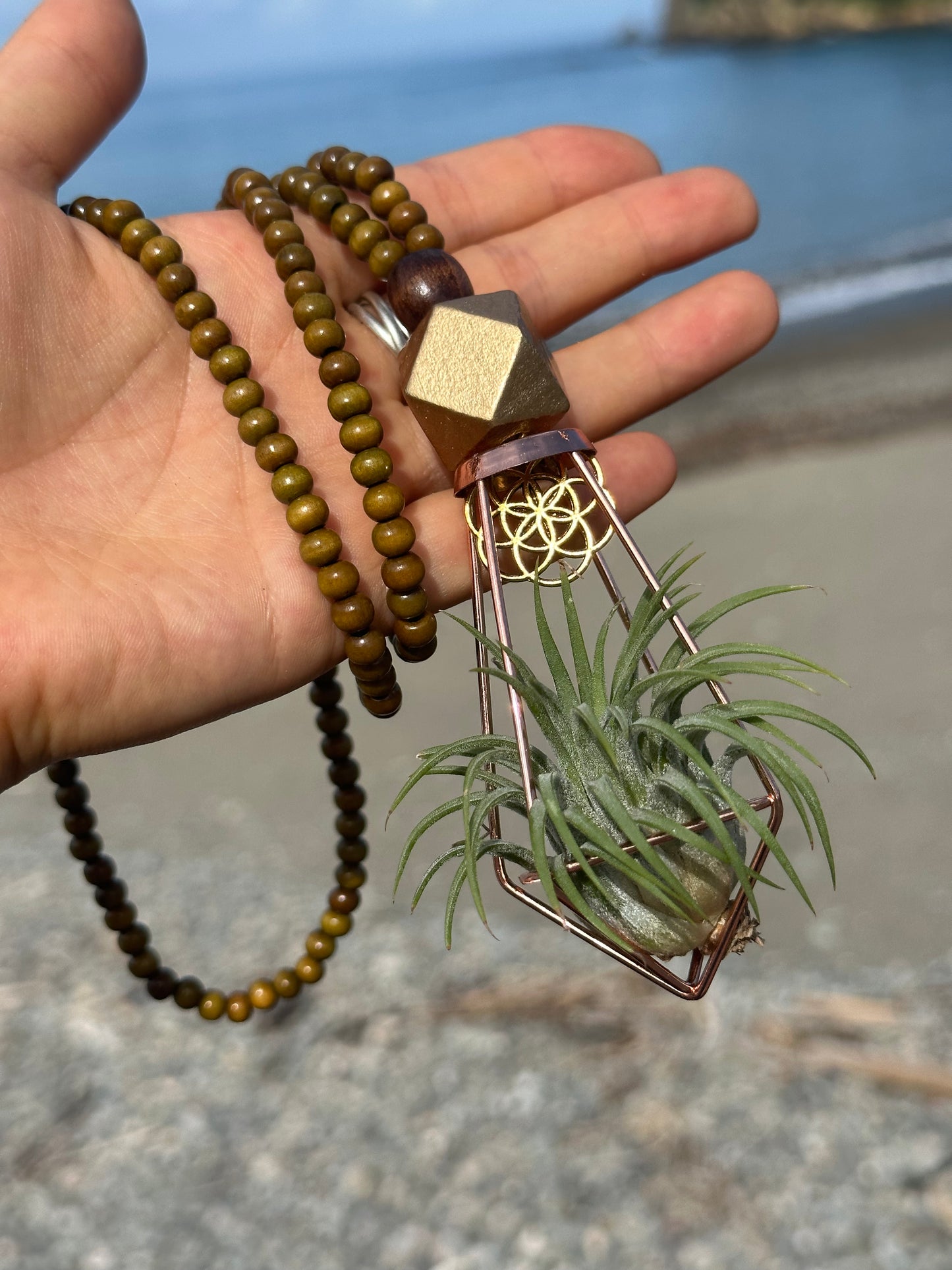 Air Plant Terrarium Sandalwood Bead Necklace ~ Buddha Monk Prayer Beads