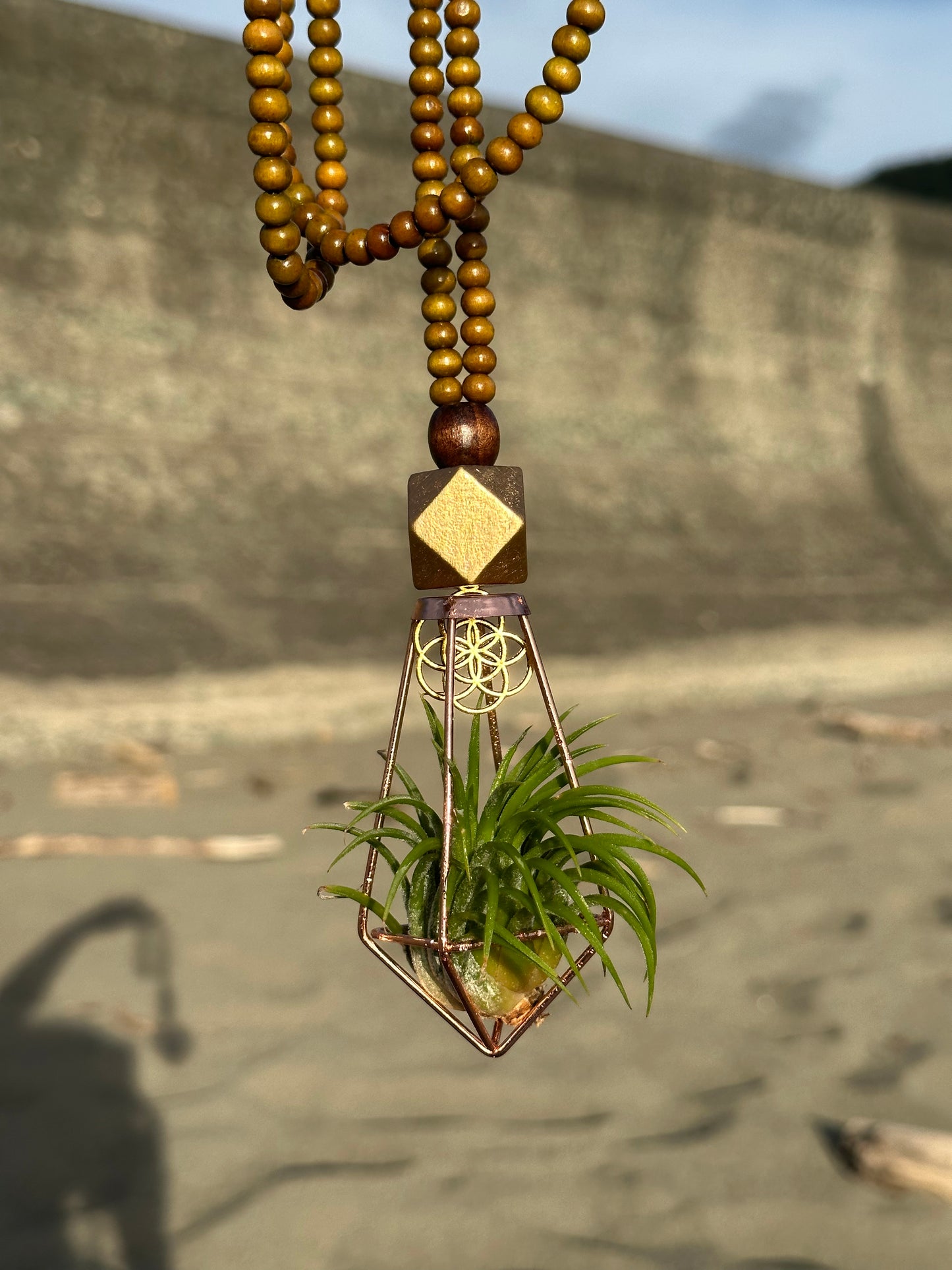 Air Plant Terrarium Sandalwood Bead Necklace ~ Buddha Monk Prayer Beads