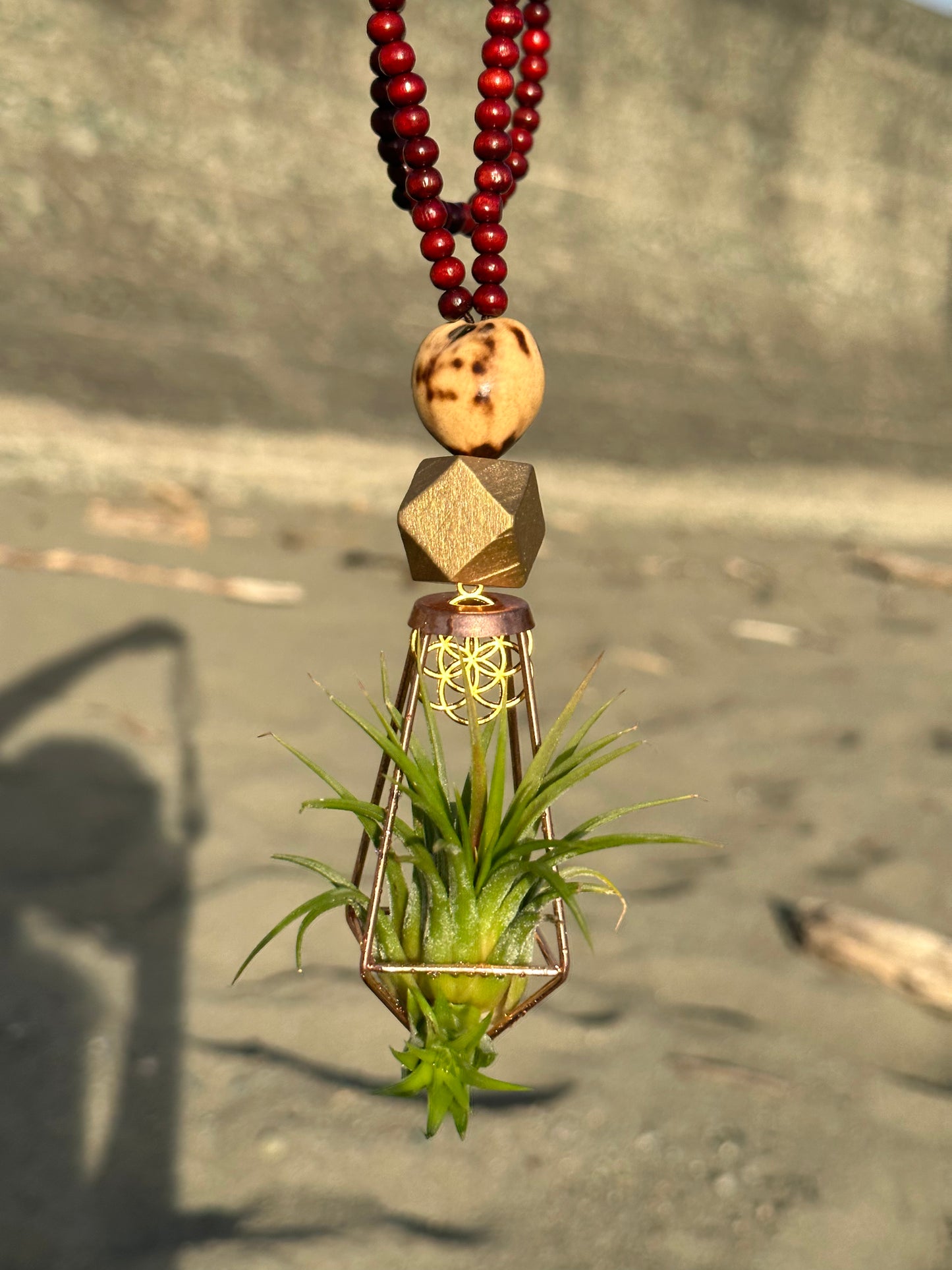 Air Plant Terrarium Sandalwood Bead Necklace ~ Buddha Monk Prayer Beads