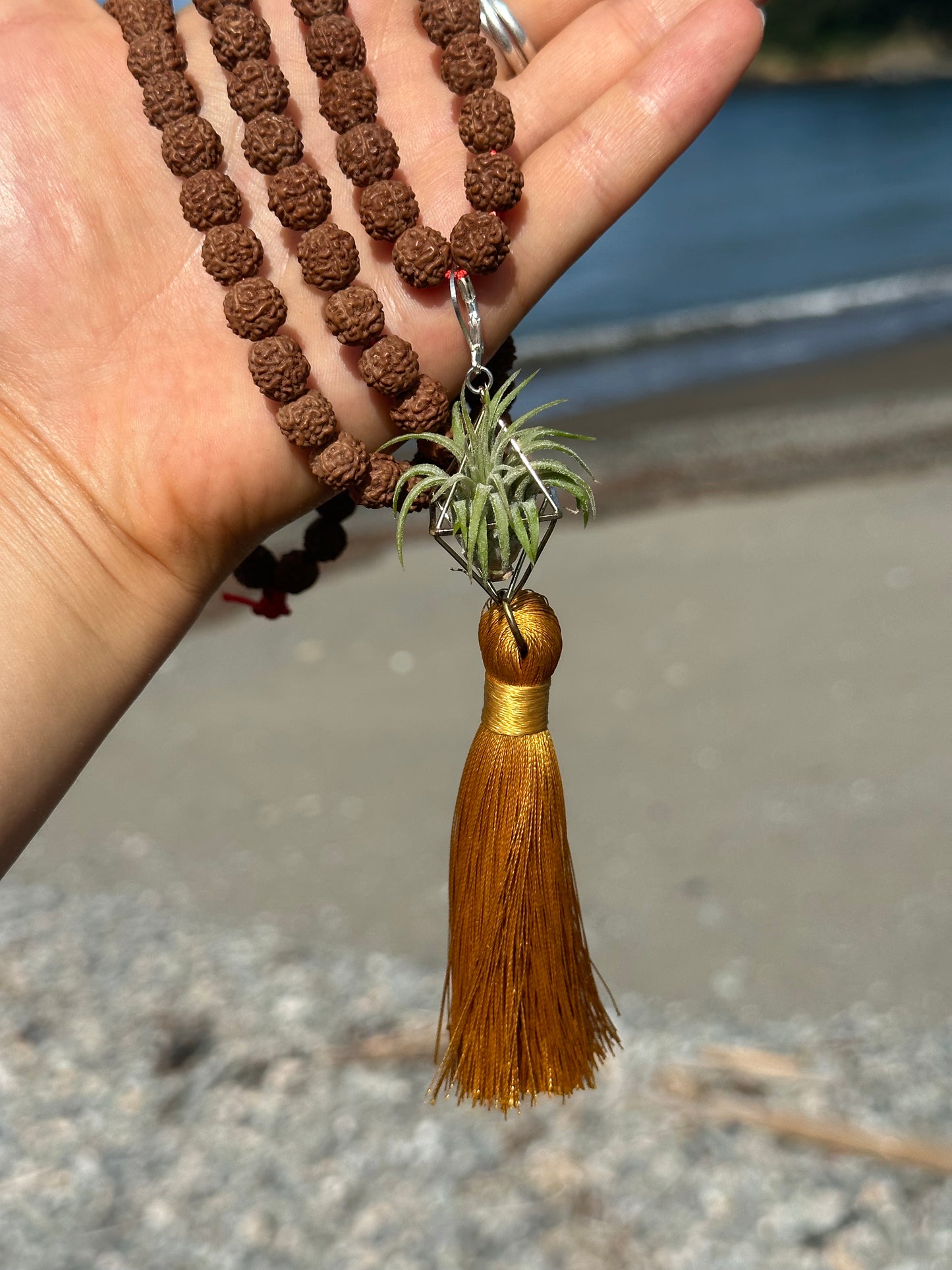 Rudraksha Monk Prayer Bead Air Plant Necklace