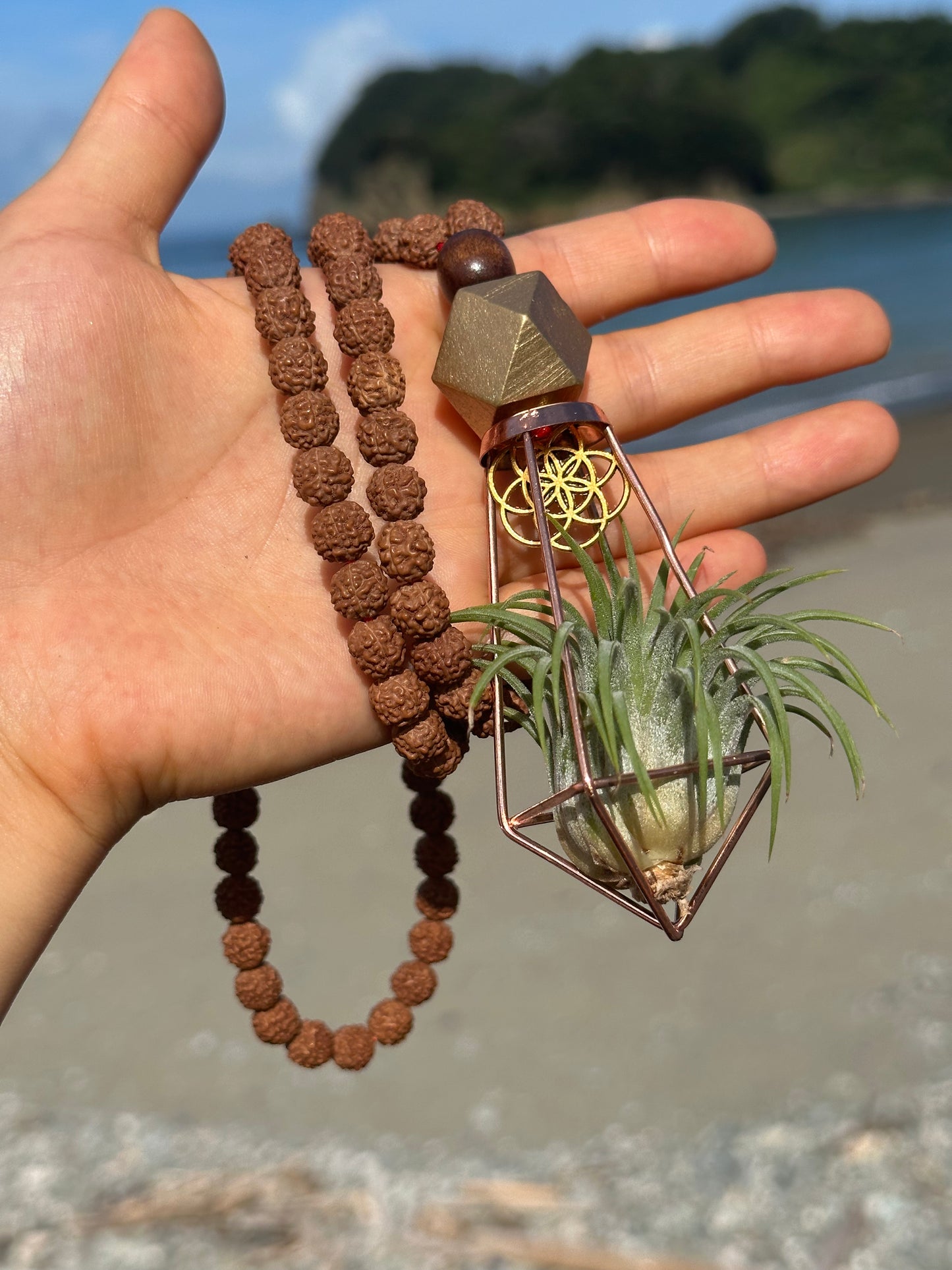 Rudraksha Monk Prayer Bead Air Plant Necklace