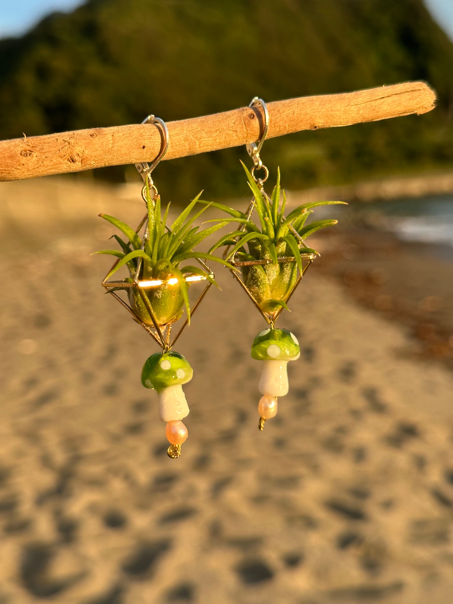 Glass Mushroom Air Plant Earrings ~ Diamond Octahedron Earrings