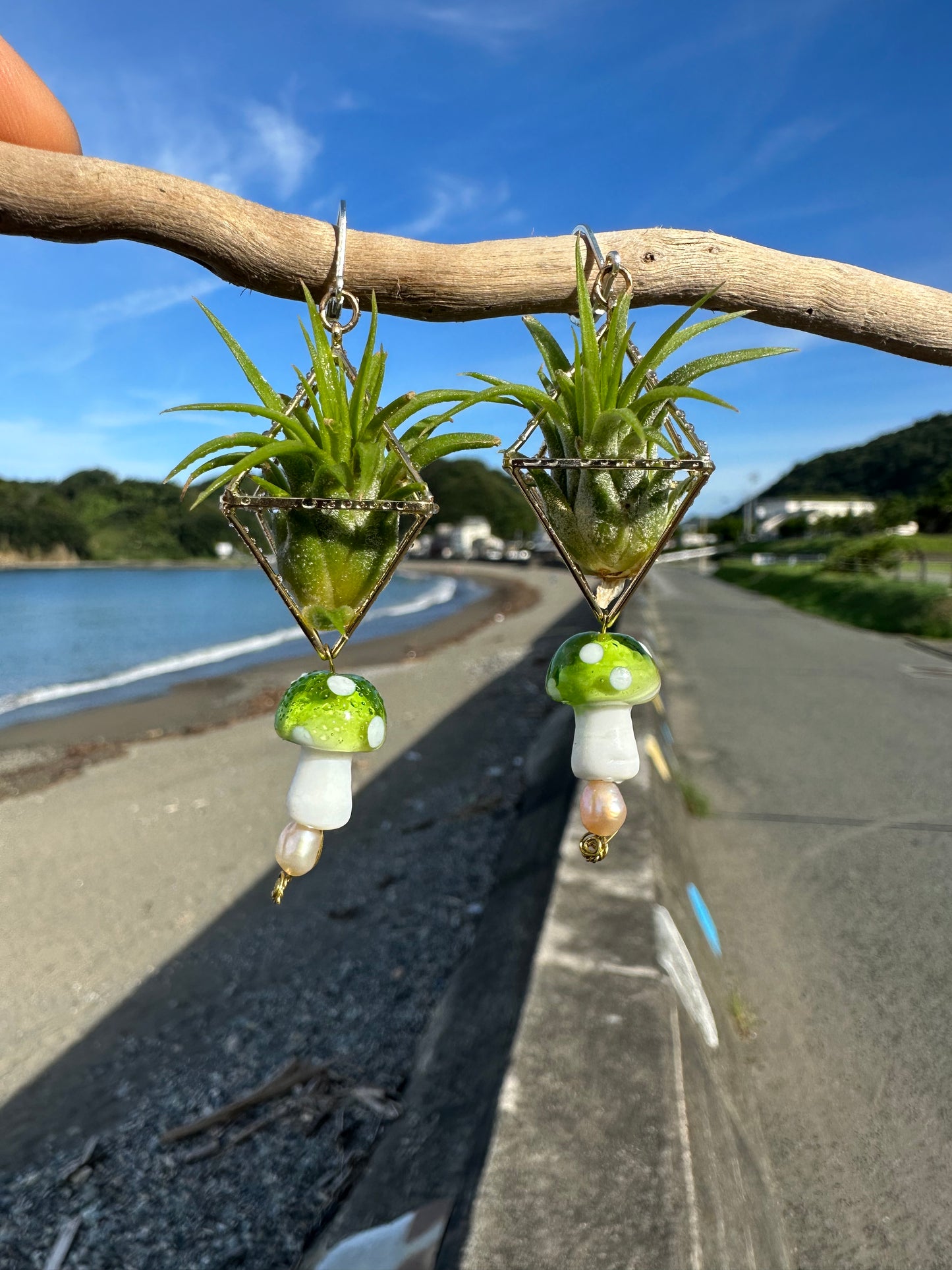 Glass Mushroom Air Plant Earrings ~ Diamond Octahedron Earrings