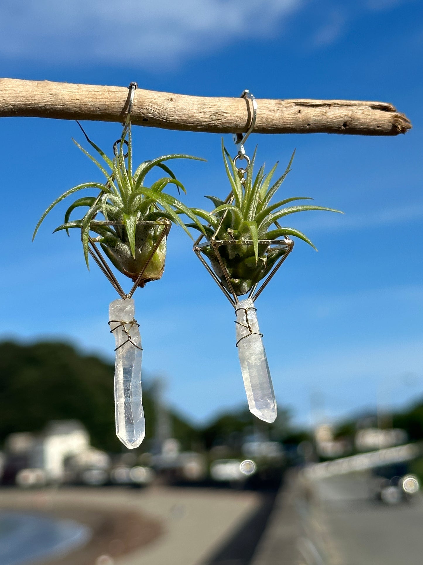 Quartz Crystal Point Air Plant Earrings