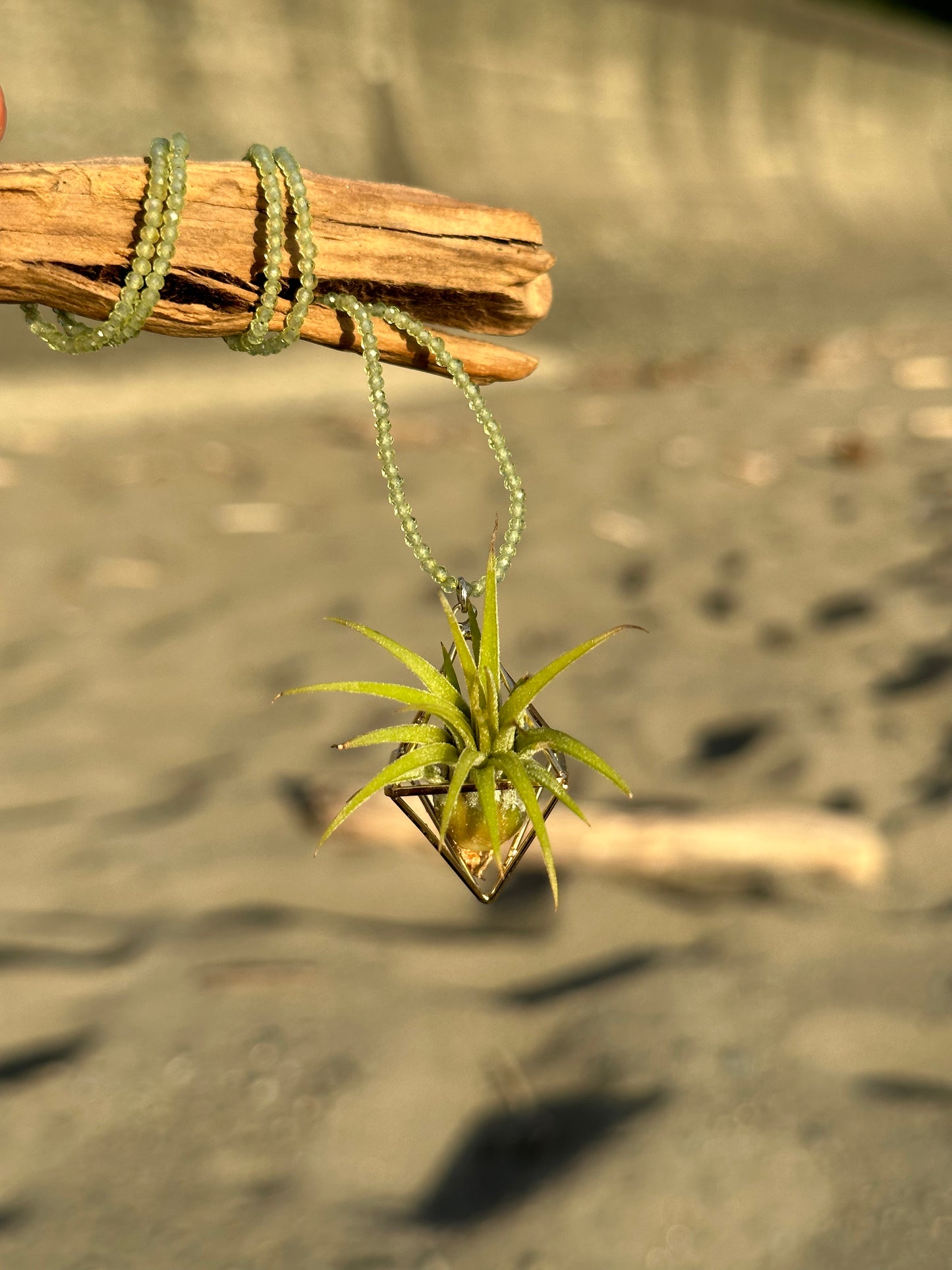 Gemstone Air Plant Pendant