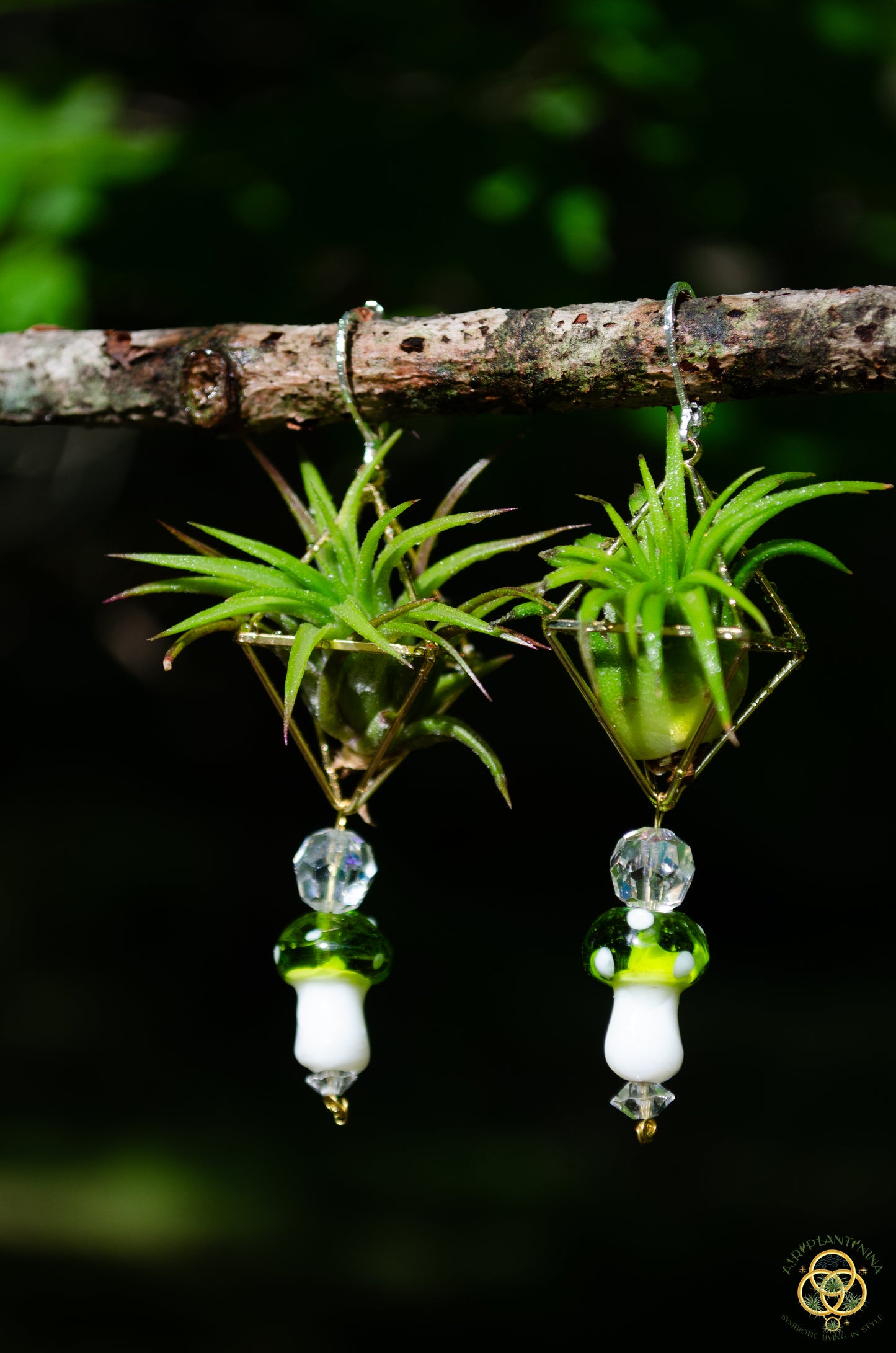 Glass Mushroom Air Plant Earrings ~ Diamond Octahedron Earrings