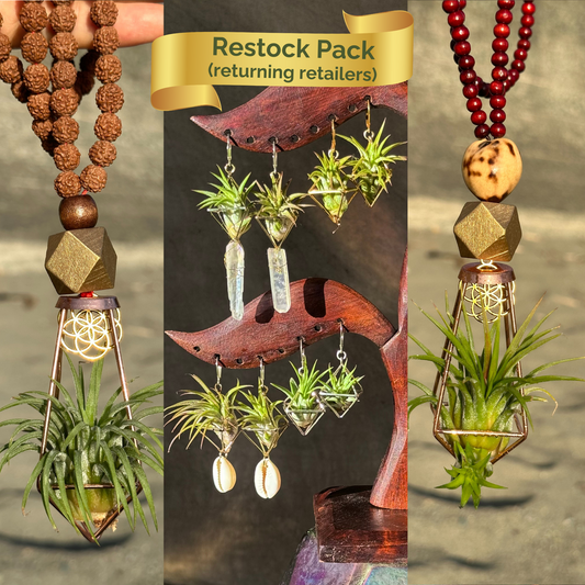 REORDER WHOLESALE 15 PACK: AIR PLANT NECKLACE, Pendants, Earrings Assortment WHOLESALE x 50% DISCOUNT