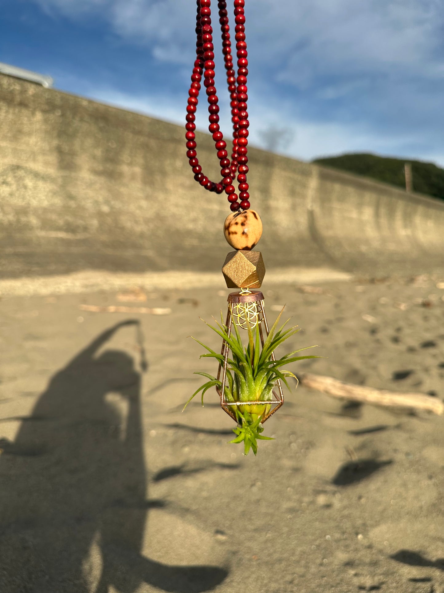 Air Plant Terrarium Sandalwood Bead Necklace ~ Buddha Monk Prayer Beads