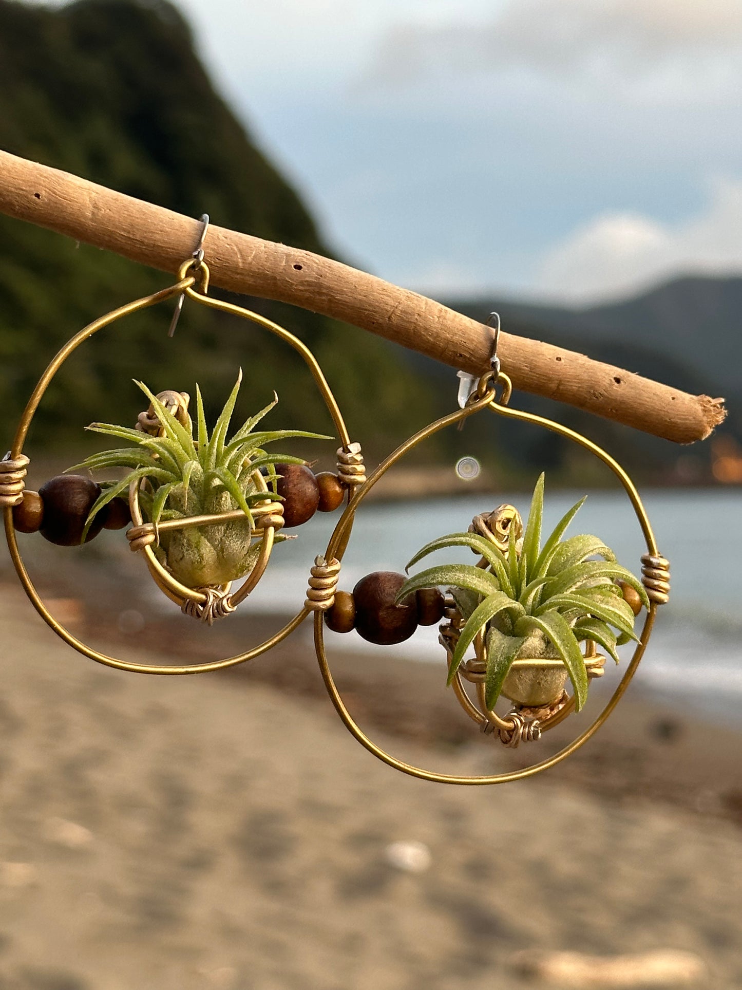 Living Air Plant Living Hoop Earrings