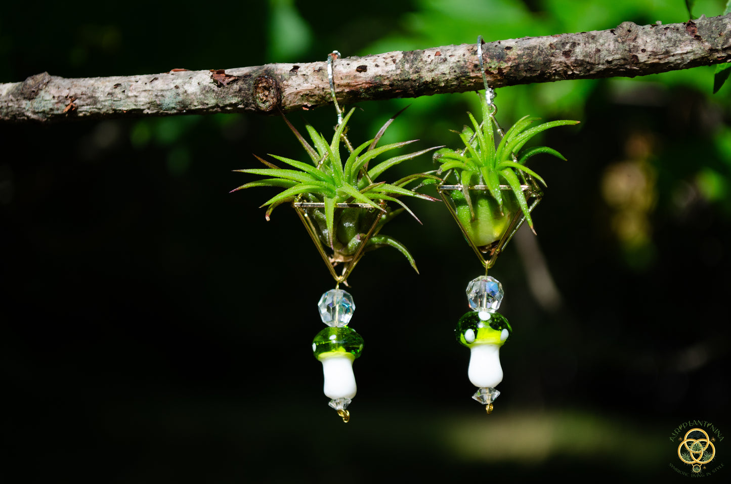 Glass Mushroom Air Plant Earrings ~ Diamond Octahedron Earrings