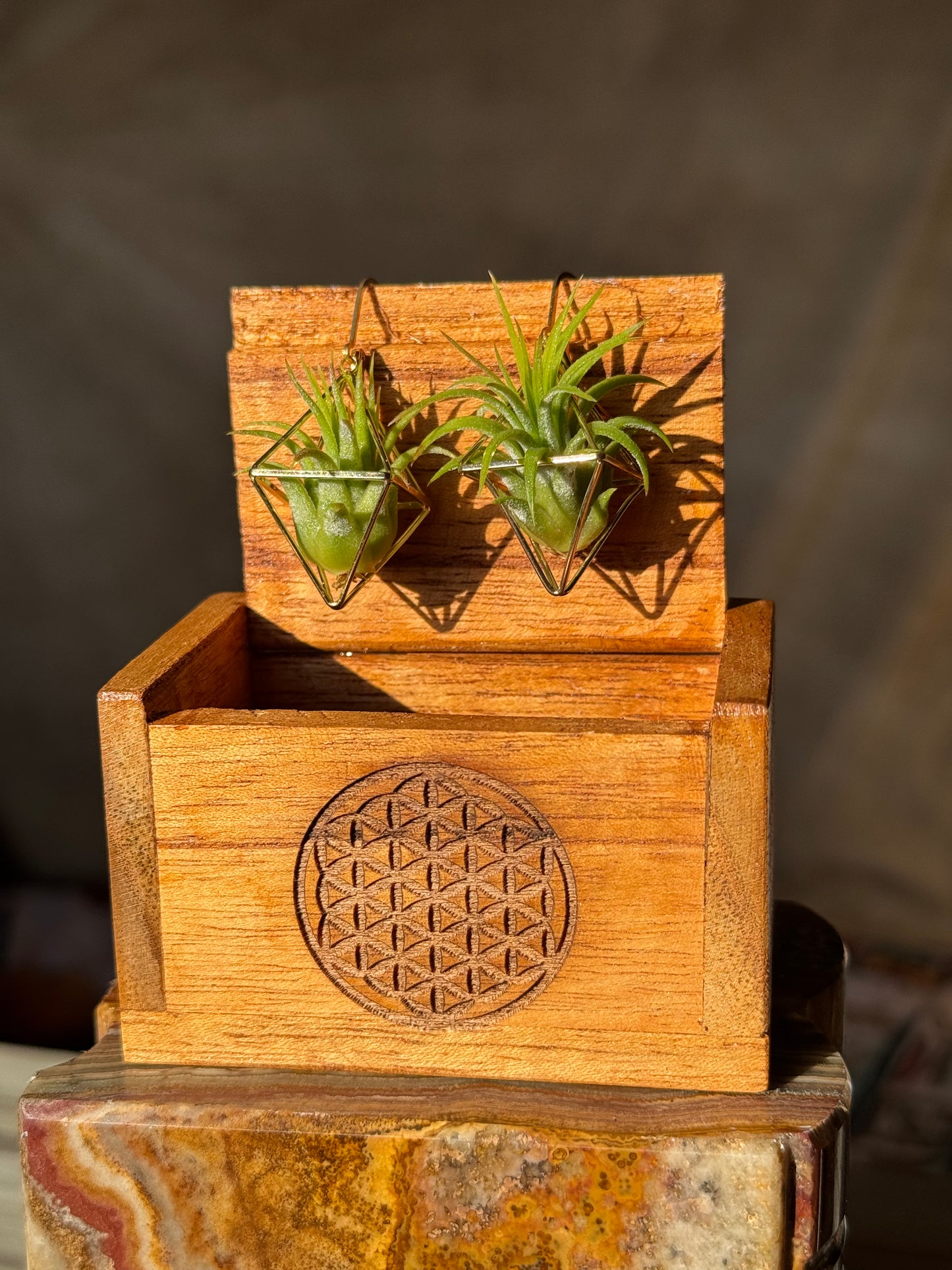 Air Plant Wooden Travel Box - Balinese Handcrafted - Flower of Life