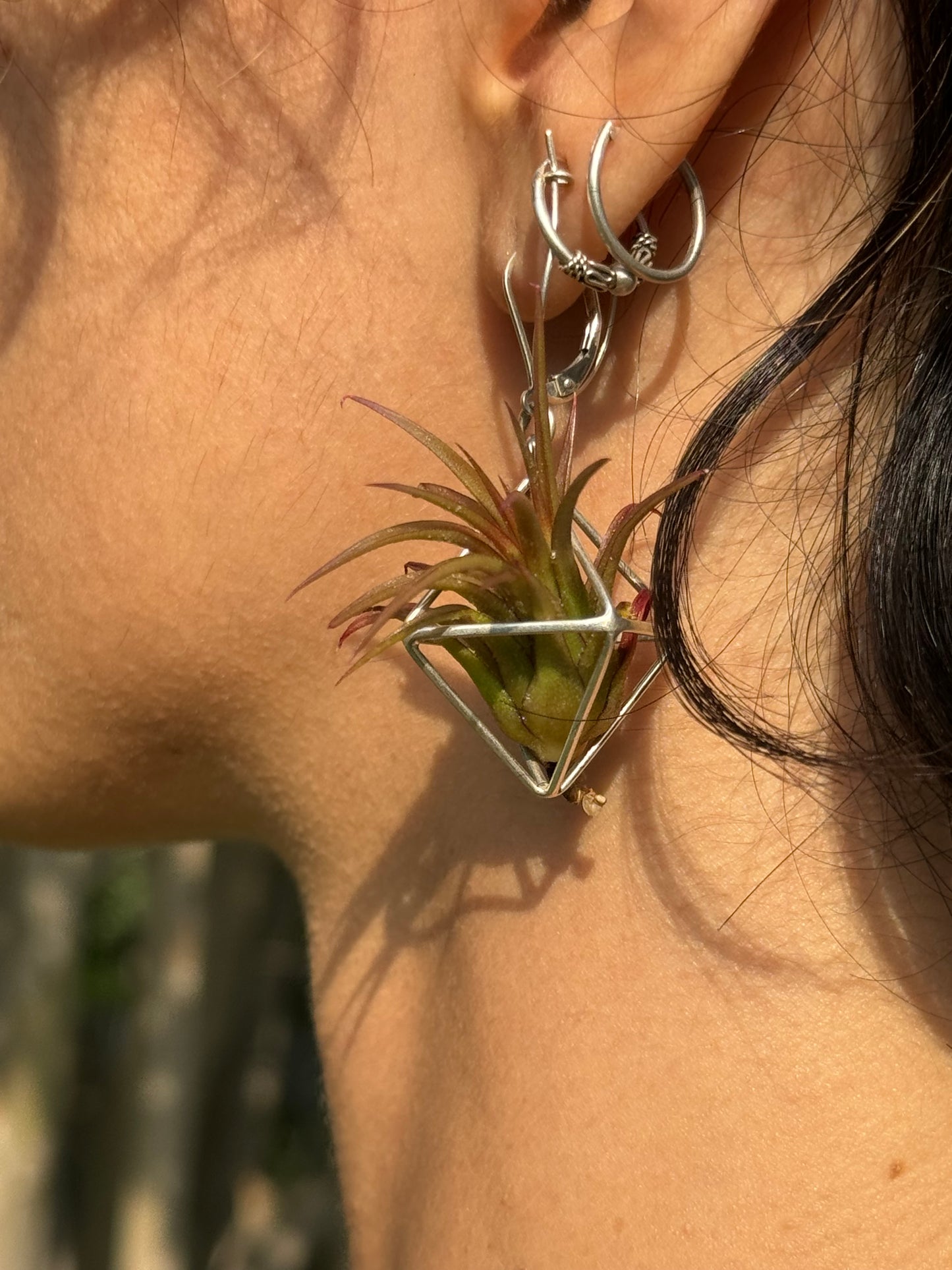 Sterling Silver Mini Octahedron Classic Air Plant Clasp Earrings