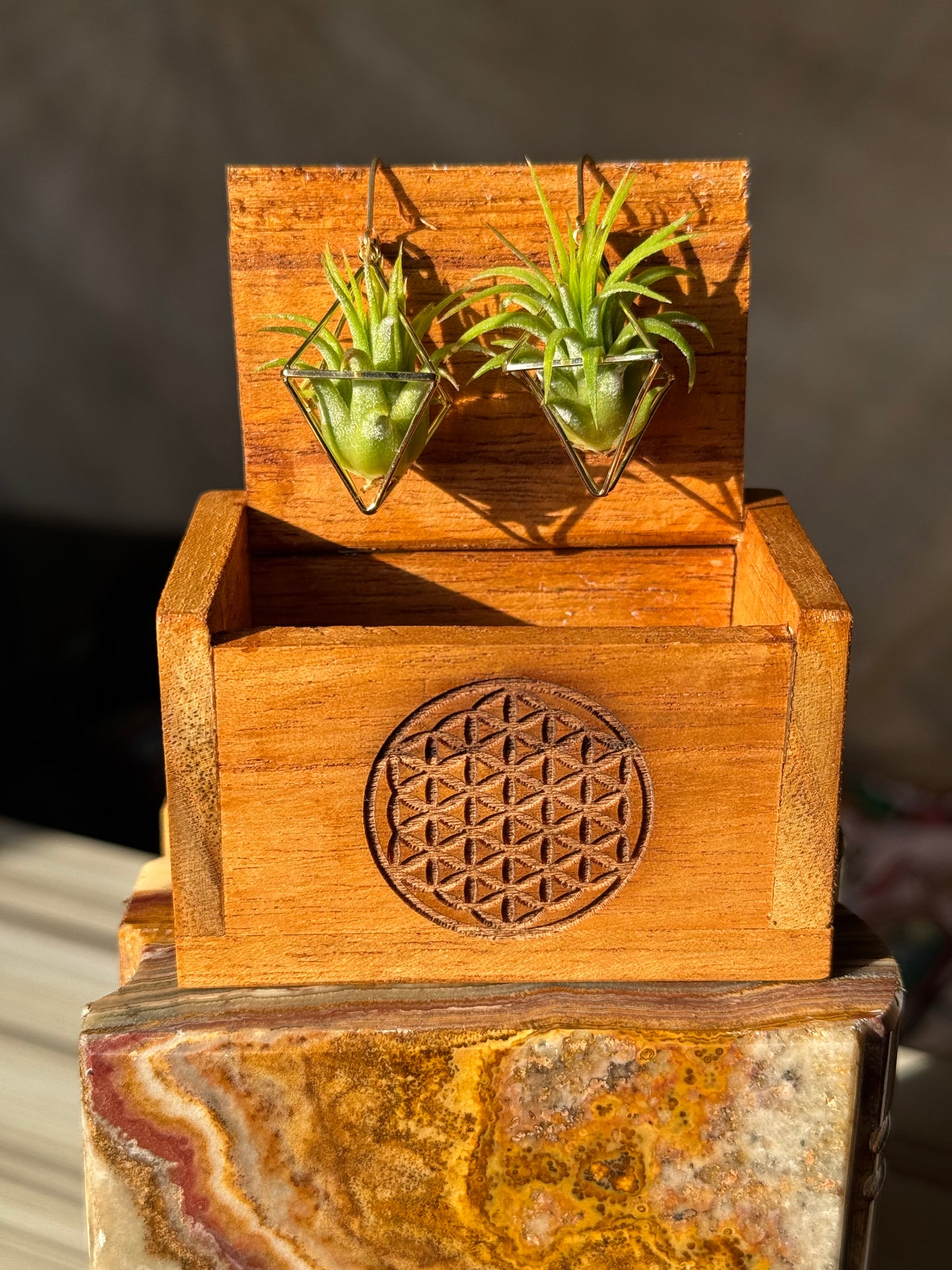 Air Plant Wooden Travel Box - Balinese Handcrafted - Flower of Life