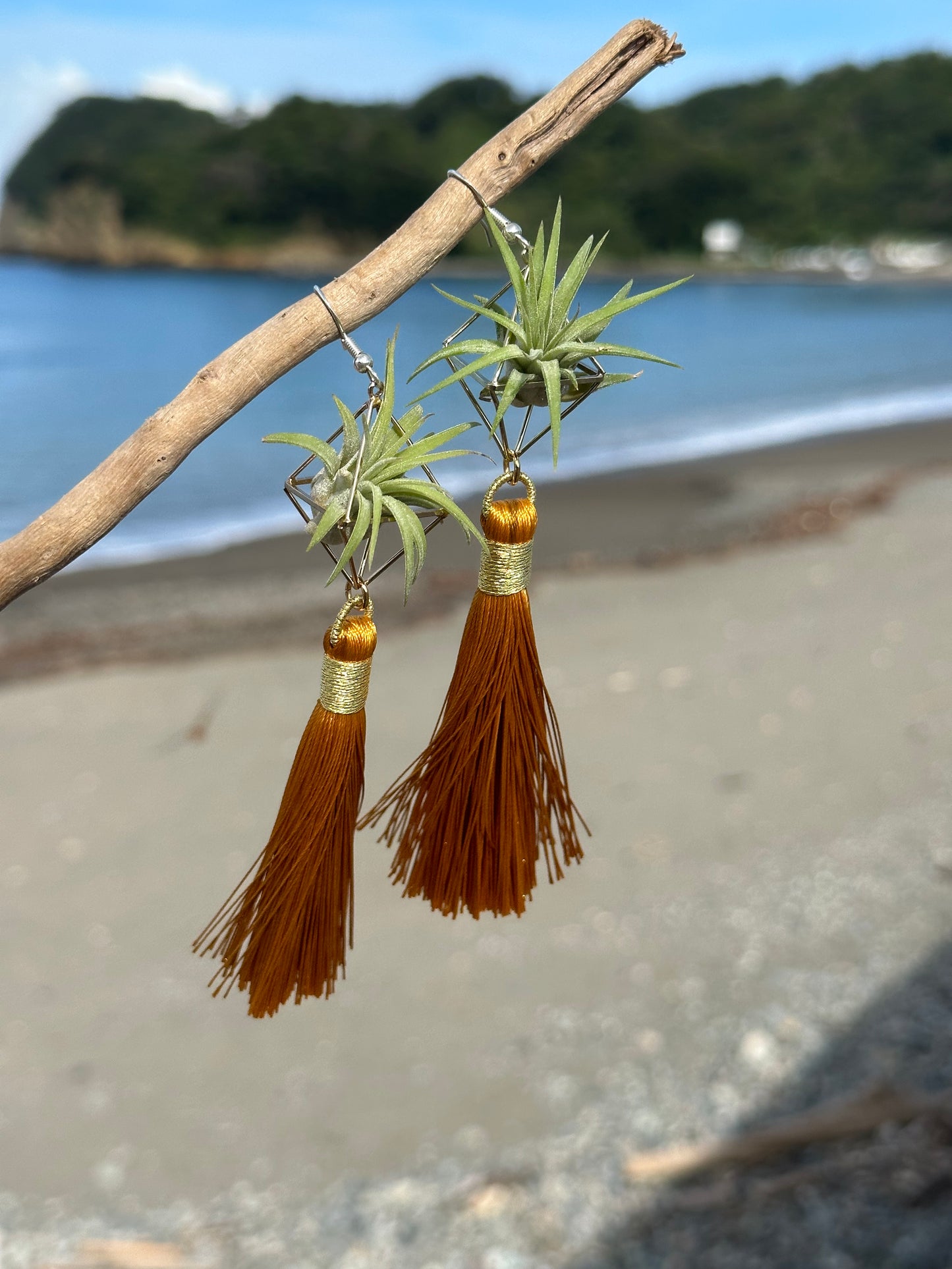 Royal Gold Tassel Air Plant Earrings