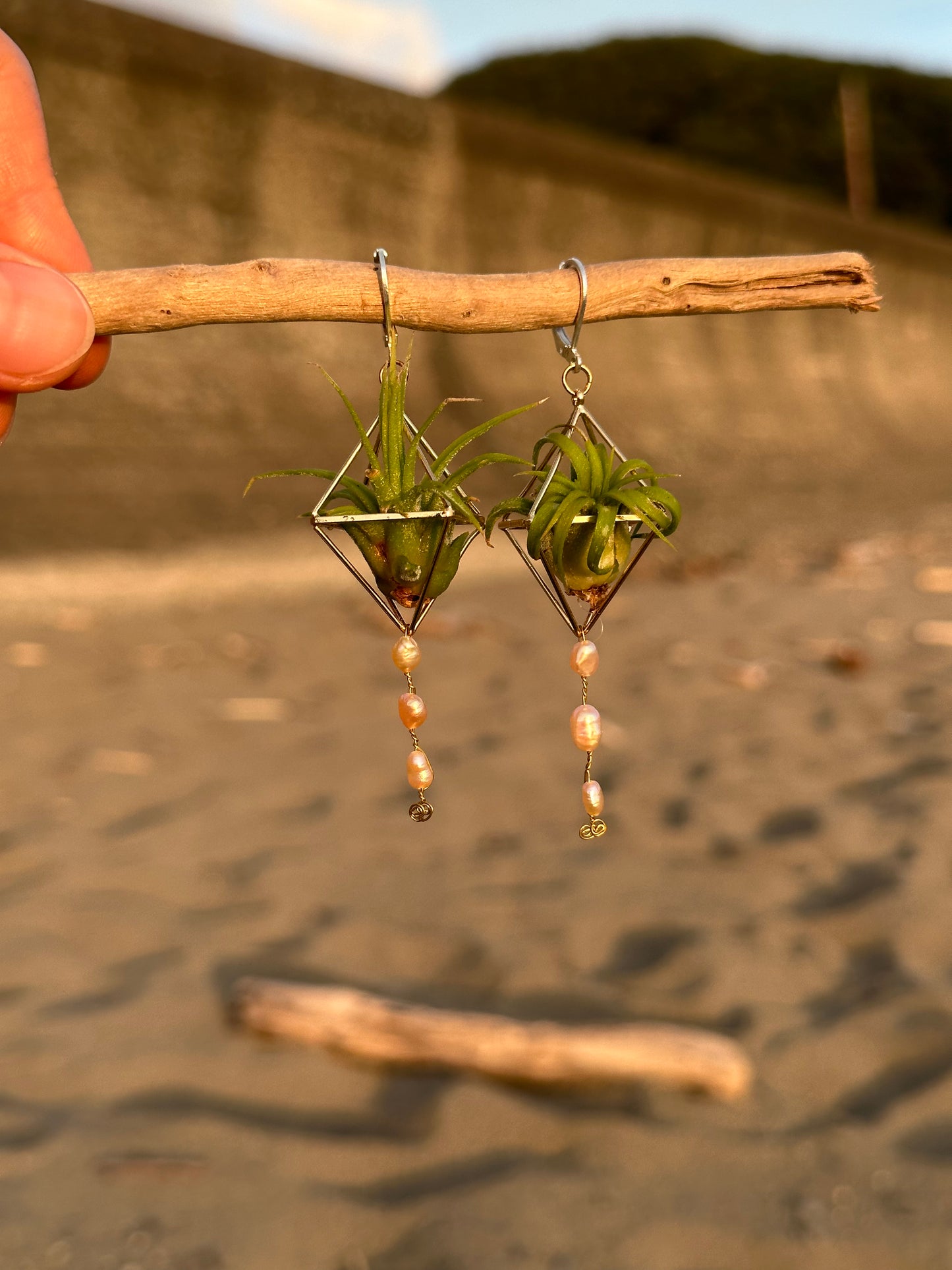 Pearl Dangle Air Plant Earrings