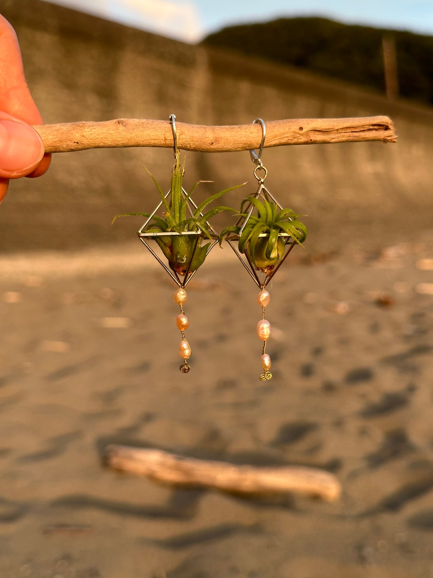 Pearl Dangle Air Plant Earrings