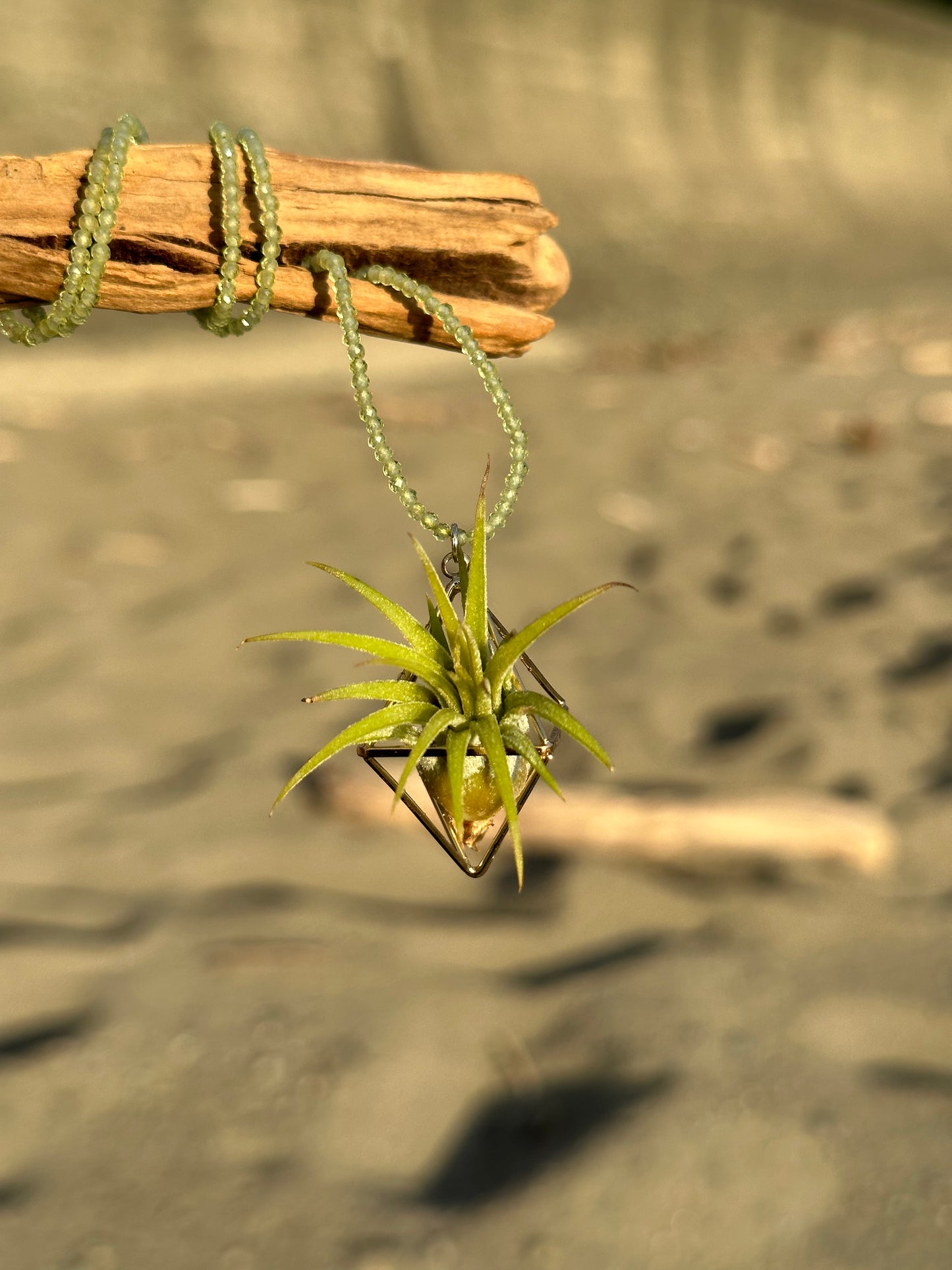Gemstone Air Plant Pendant