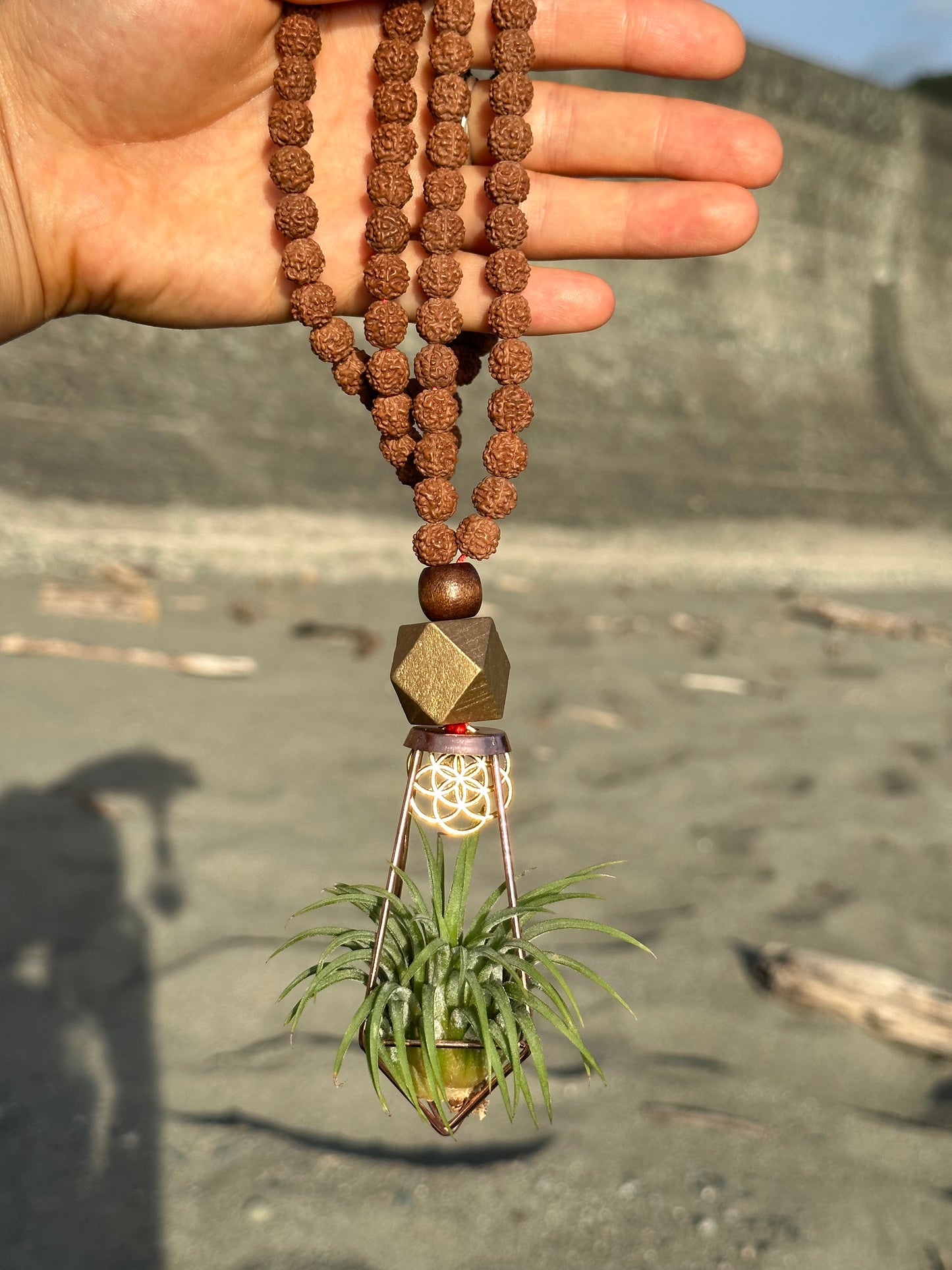 REORDER WHOLESALE 15 PACK: AIR PLANT NECKLACE, Pendants, Earrings Assortment WHOLESALE x 50% DISCOUNT