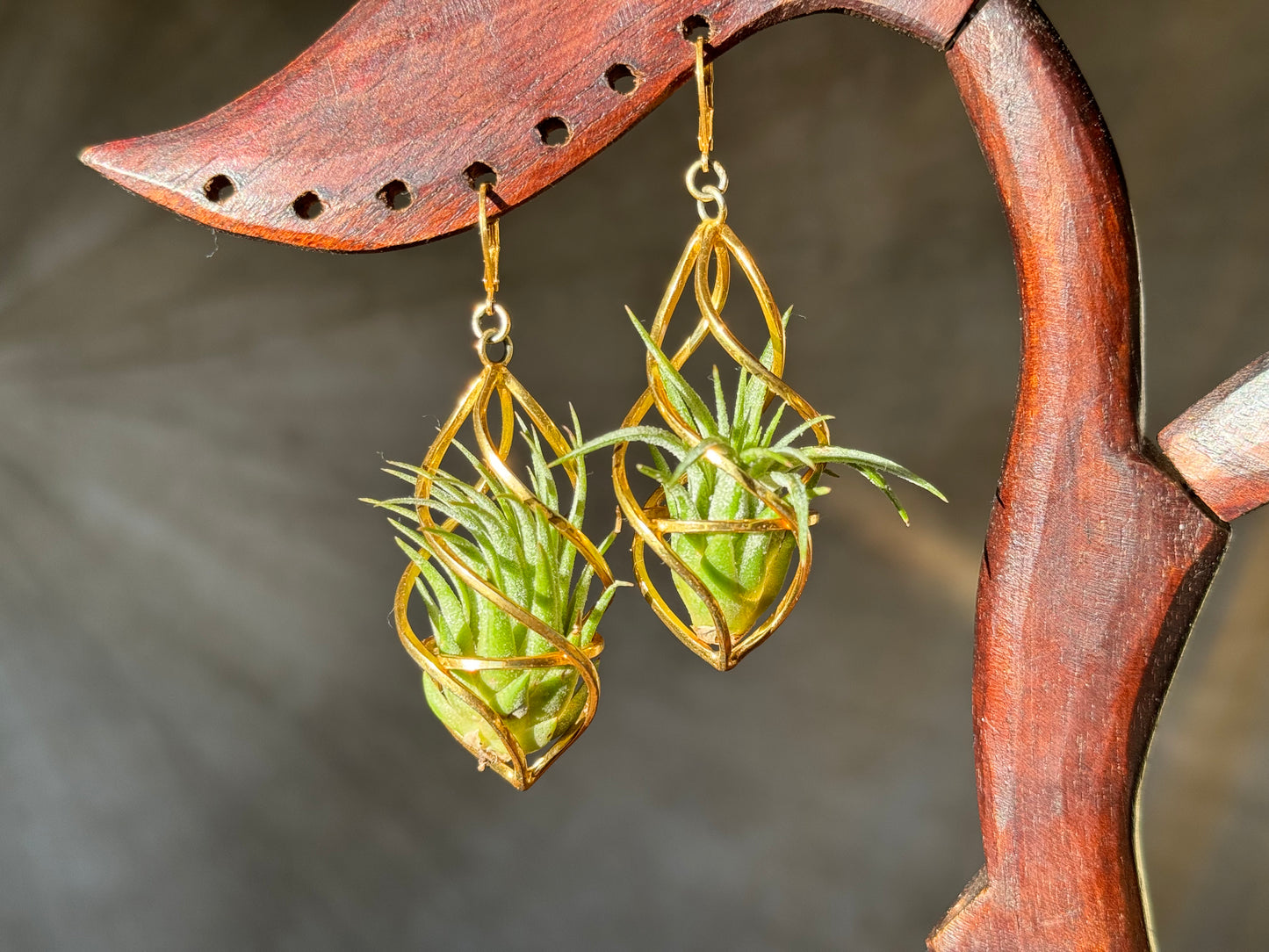 24K Gold Spiral Spindel Air Plant Earrings ~ Luxury Geometric Earrings