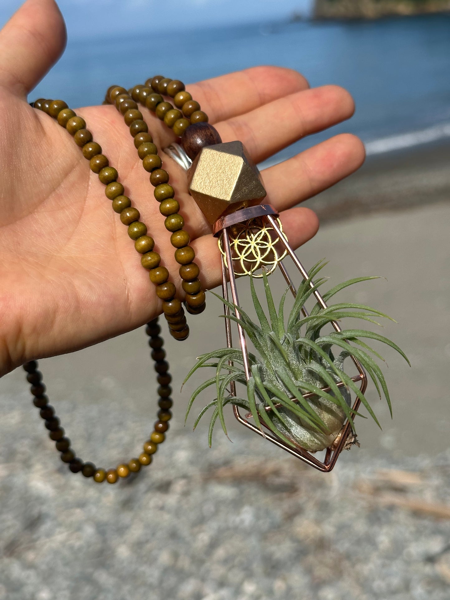 Air Plant Terrarium Sandalwood Bead Necklace ~ Buddha Monk Prayer Beads