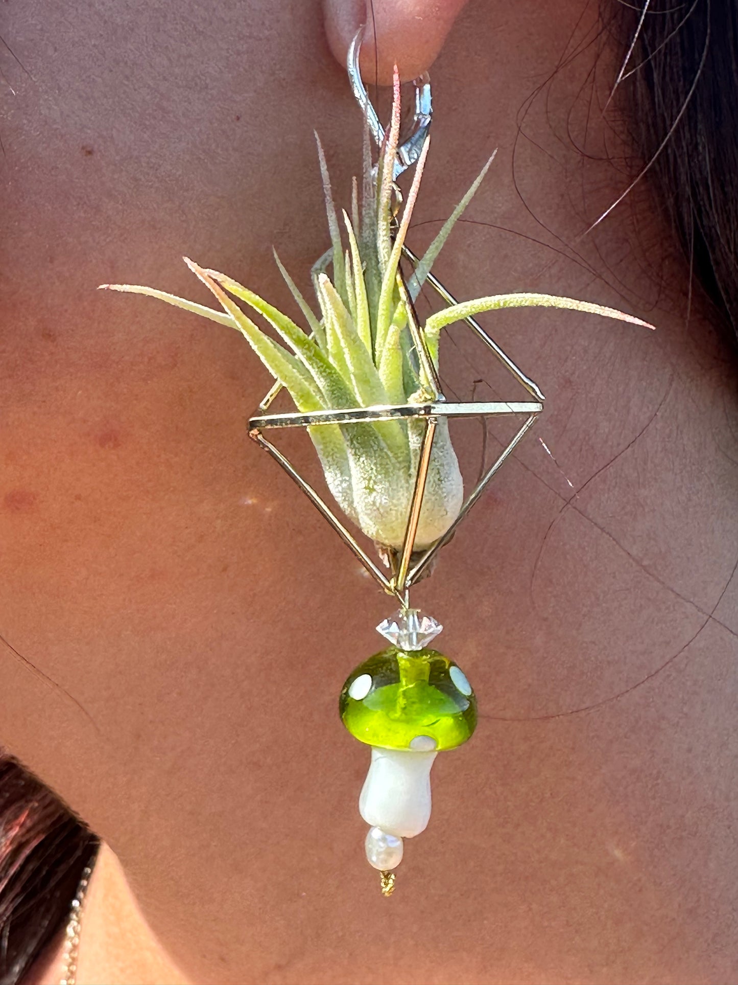 Glass Mushroom Air Plant Earrings ~ Diamond Octahedron Earrings