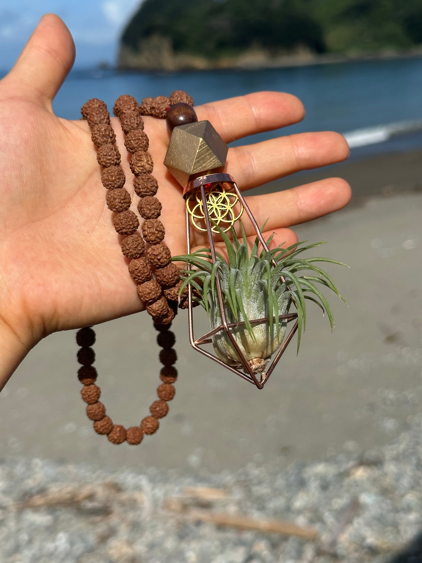 Rudraksha Monk Prayer Bead Air Plant Necklace