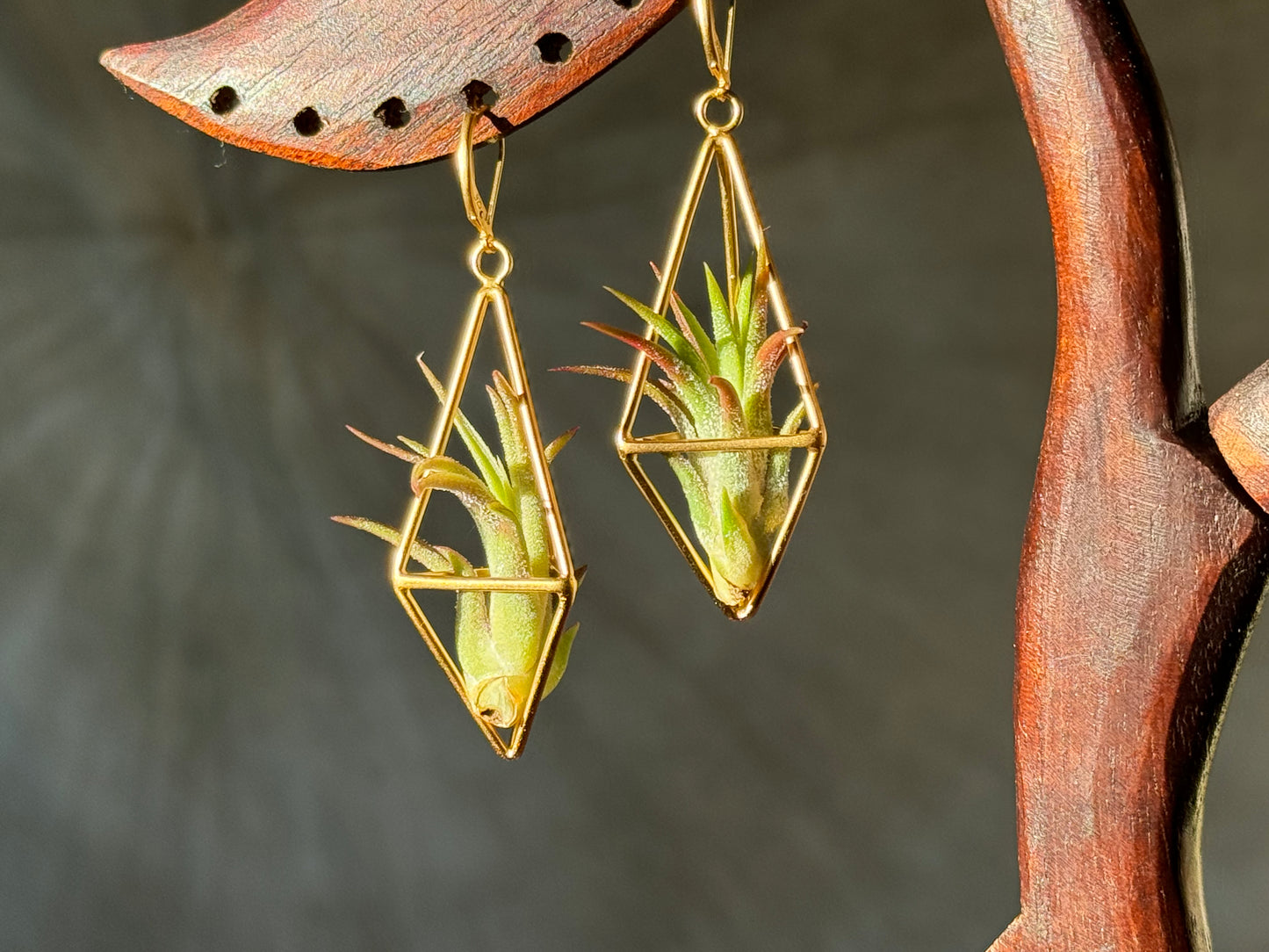 24K Gold Long Tetrahedron Air Plant Earrings ~ Minimalist Geometric Earrings