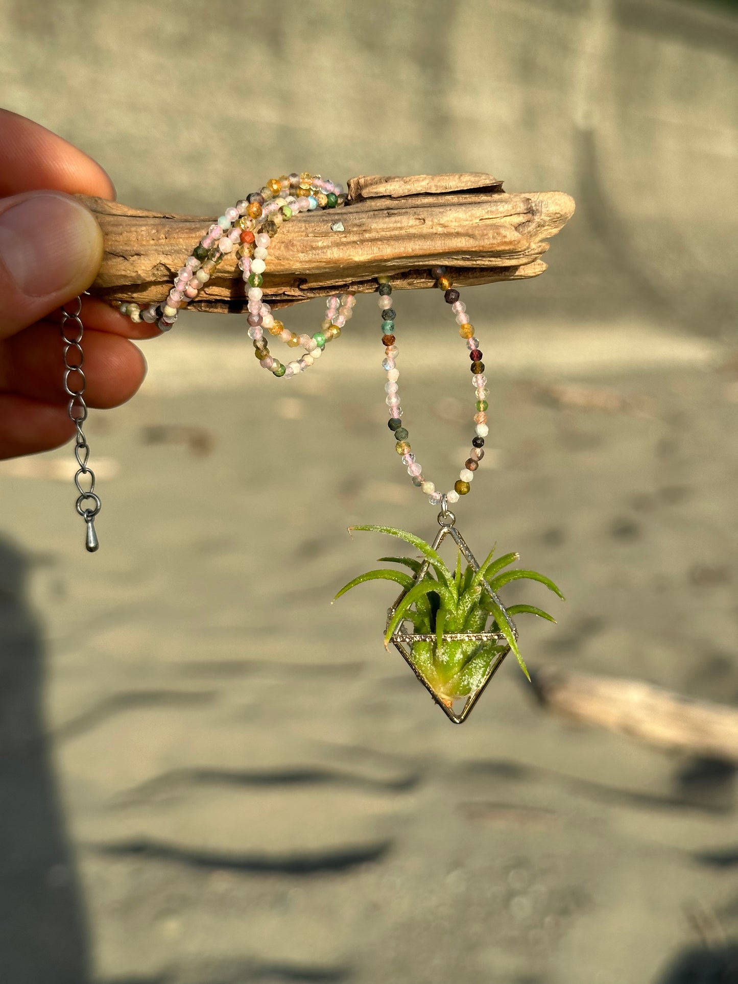 Gemstone Air Plant Pendant