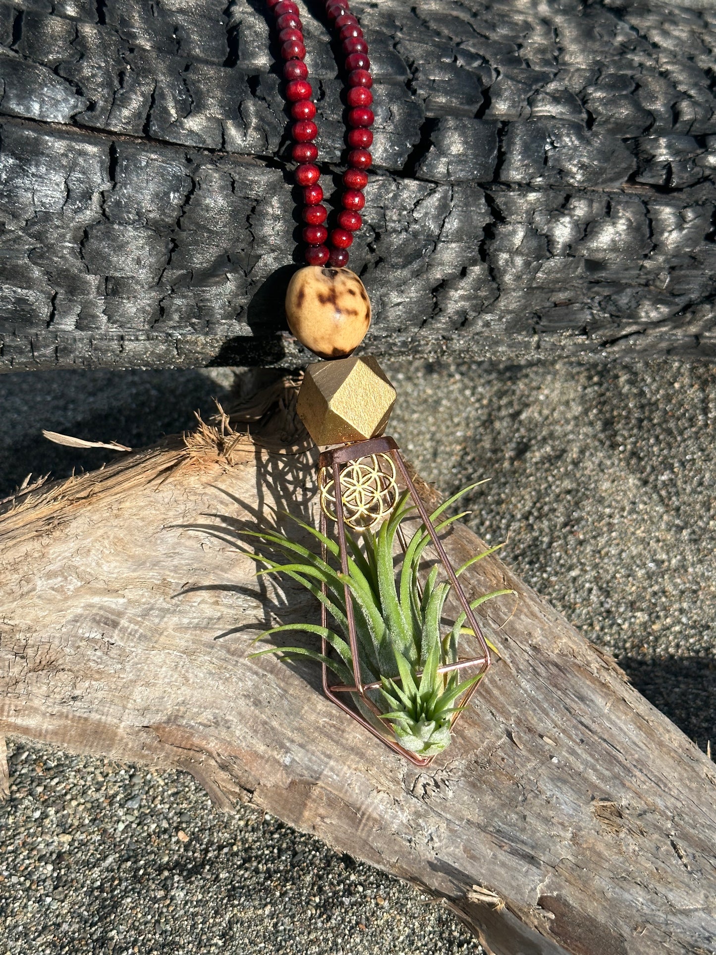 REORDER WHOLESALE 15 PACK: AIR PLANT NECKLACE, Pendants, Earrings Assortment WHOLESALE x 50% DISCOUNT