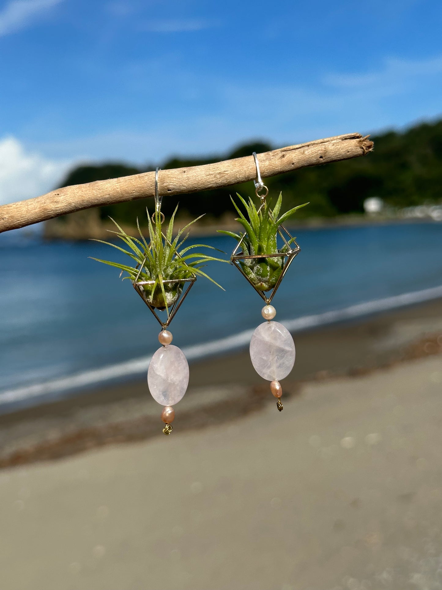 Rose Quartz Air Plant Earrings ~ Diamond Octahedron Earrings