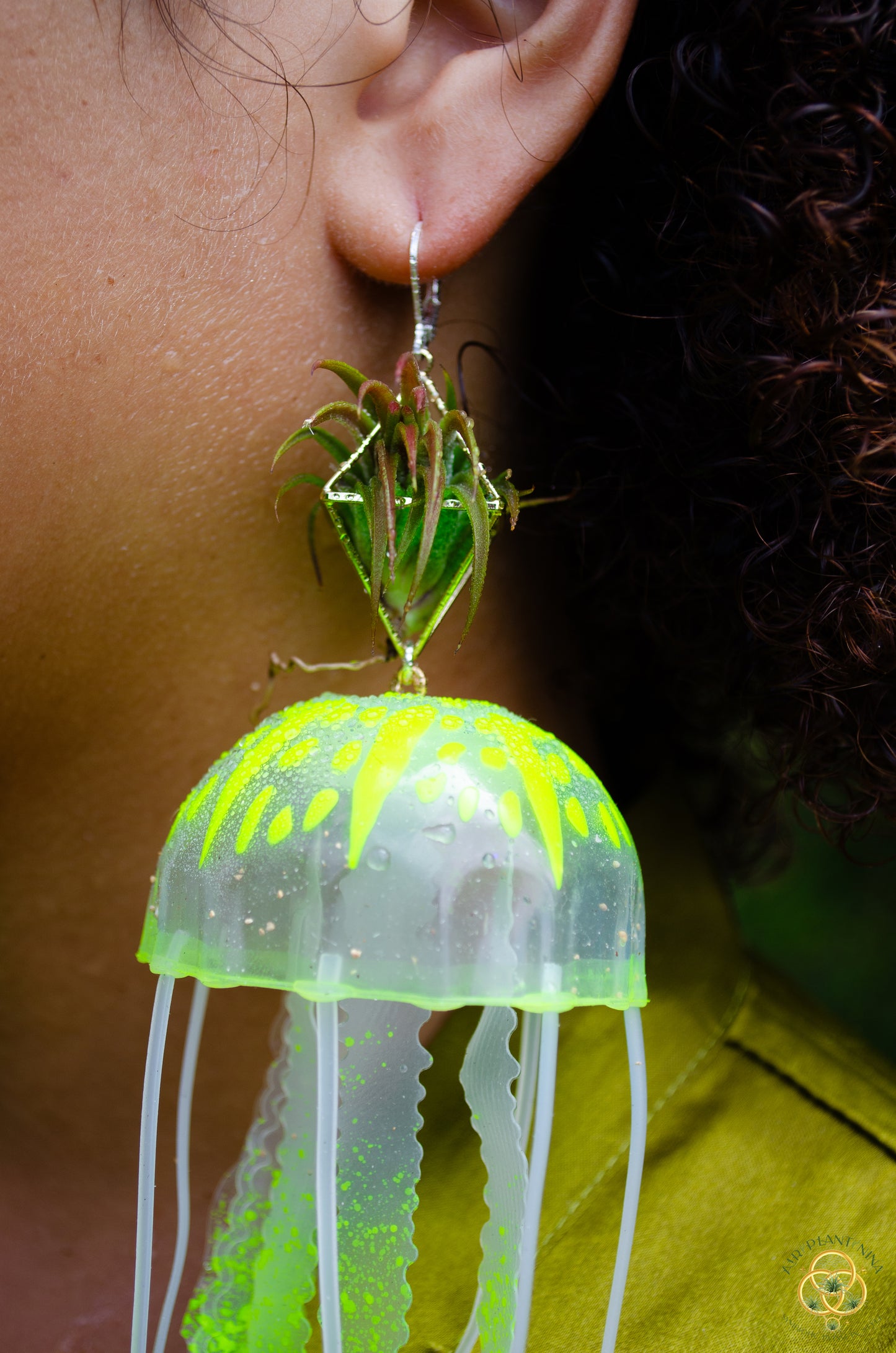 Jellyfish Glow Air Plant Earrings
