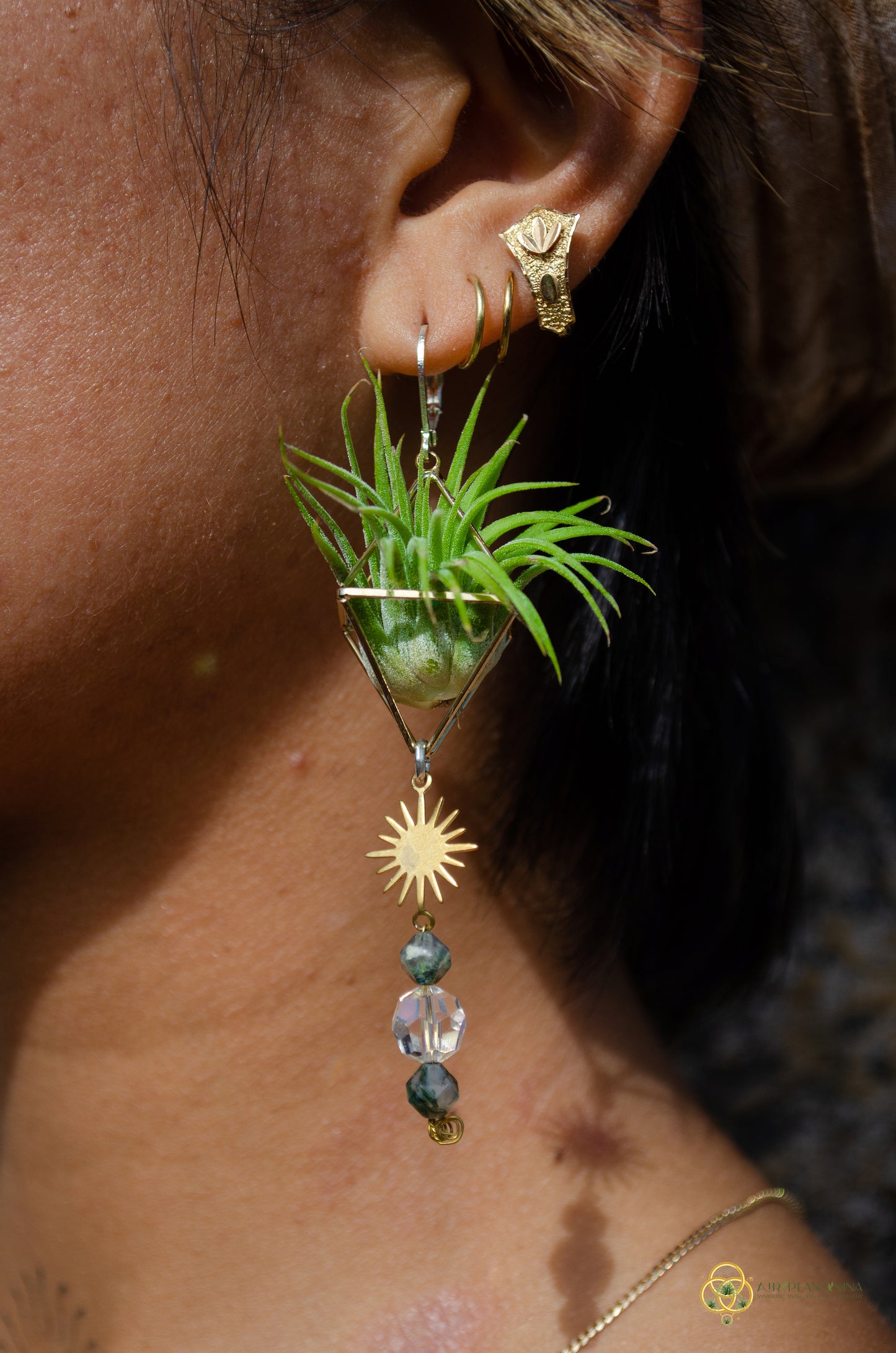 Sun Feather Crystal Air Plant Earrings ~ Diamond Octahedron Earrings