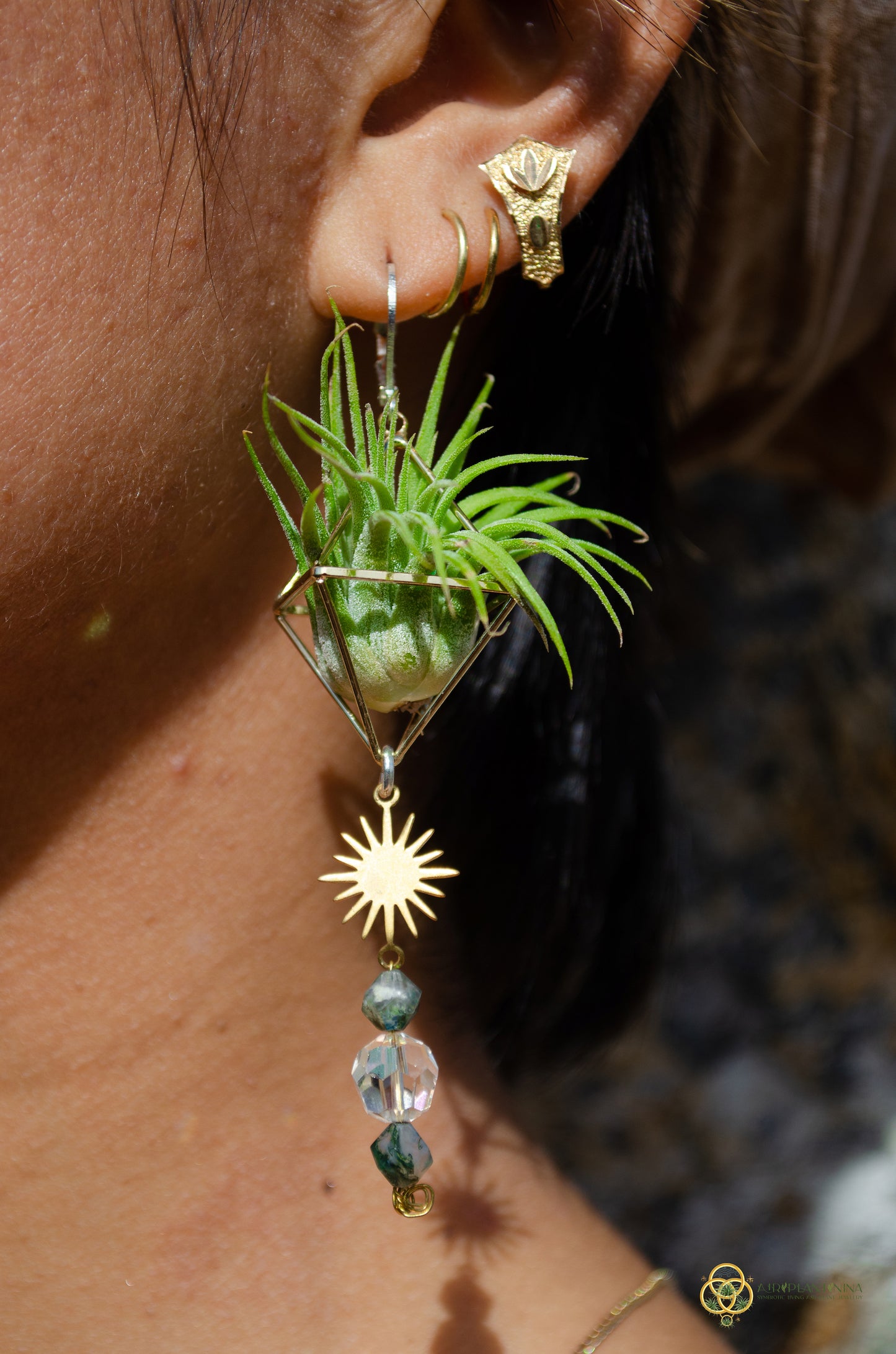 Sun Feather Crystal Air Plant Earrings ~ Diamond Octahedron Earrings