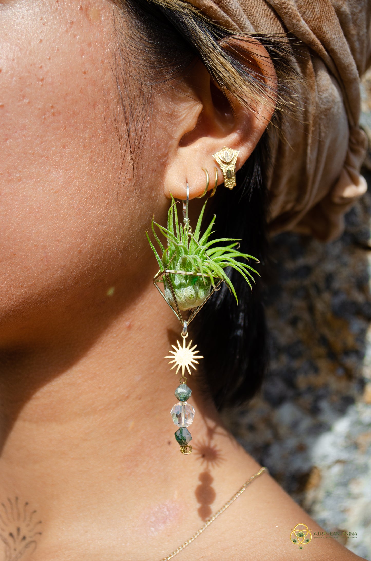 Sun Feather Crystal Air Plant Earrings ~ Diamond Octahedron Earrings