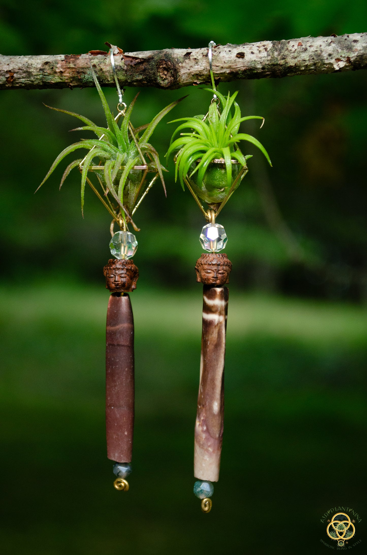 Buddha Air Plant Earrings ~ Diamond Octahedron Earrings