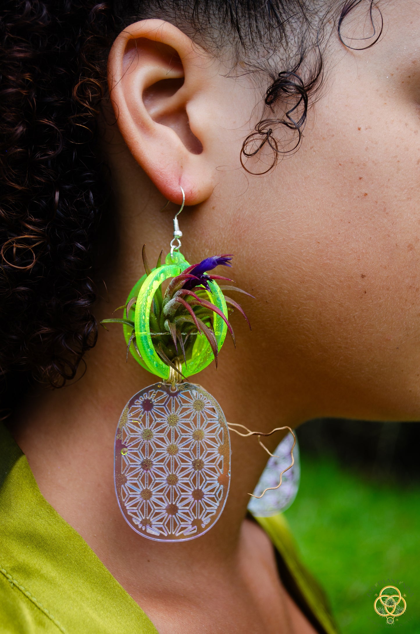 Air Plant Orb Earrings ~ Pineapple ~ Blacklight Holographic ~ Lasercut Original Design