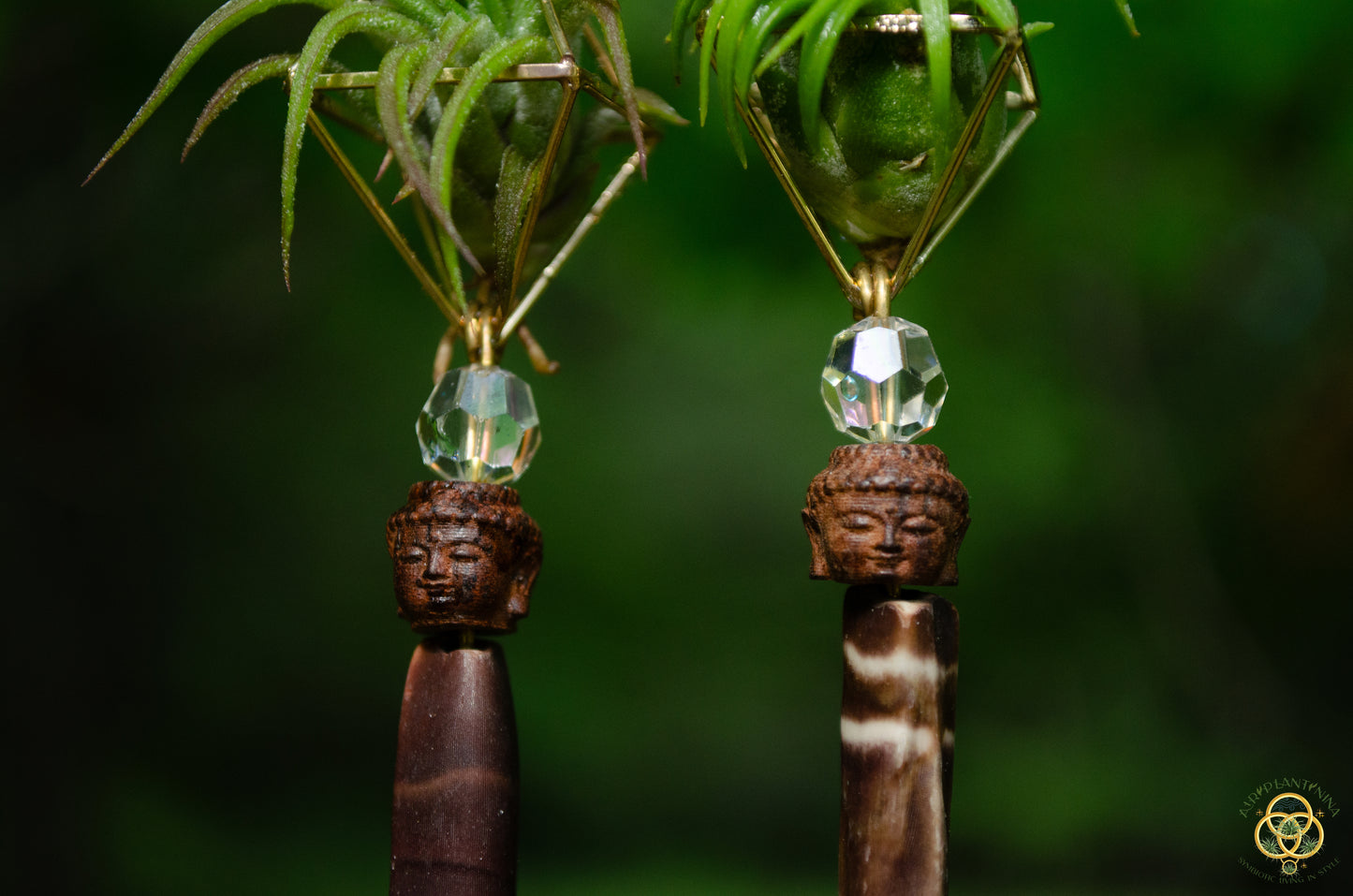 Buddha Air Plant Earrings ~ Diamond Octahedron Earrings