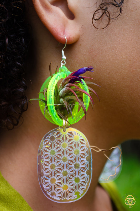 Air Plant Orb Earrings ~ Pineapple ~ Blacklight Holographic ~ Lasercut Original Design