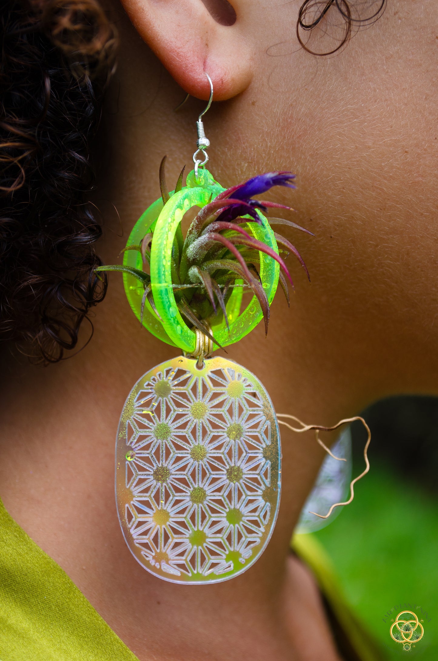 Air Plant Orb Earrings ~ Pineapple ~ Blacklight Holographic ~ Lasercut Original Design