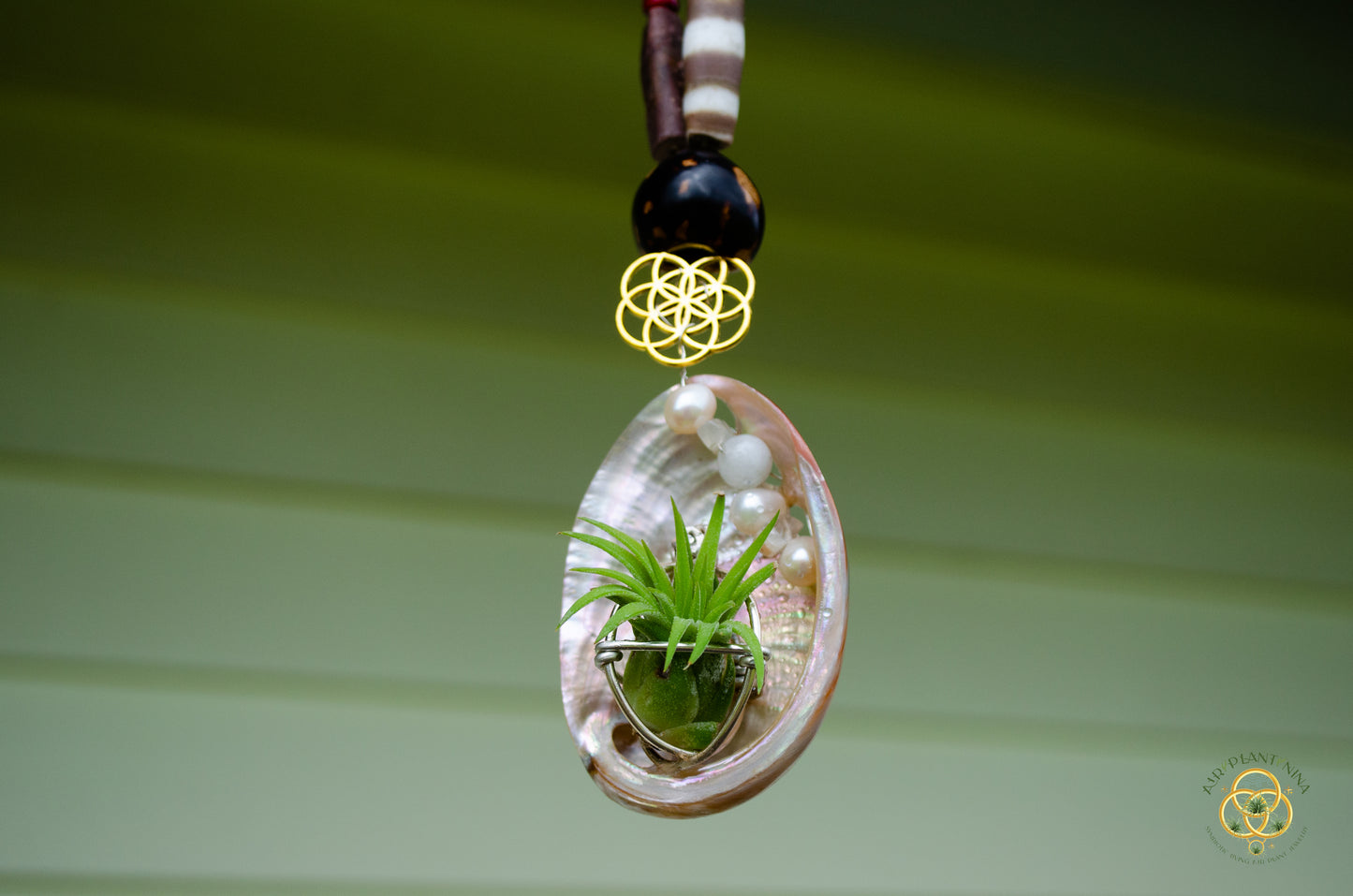 Air Plant Orb Pearl Beaded Abalone Geometric Necklace