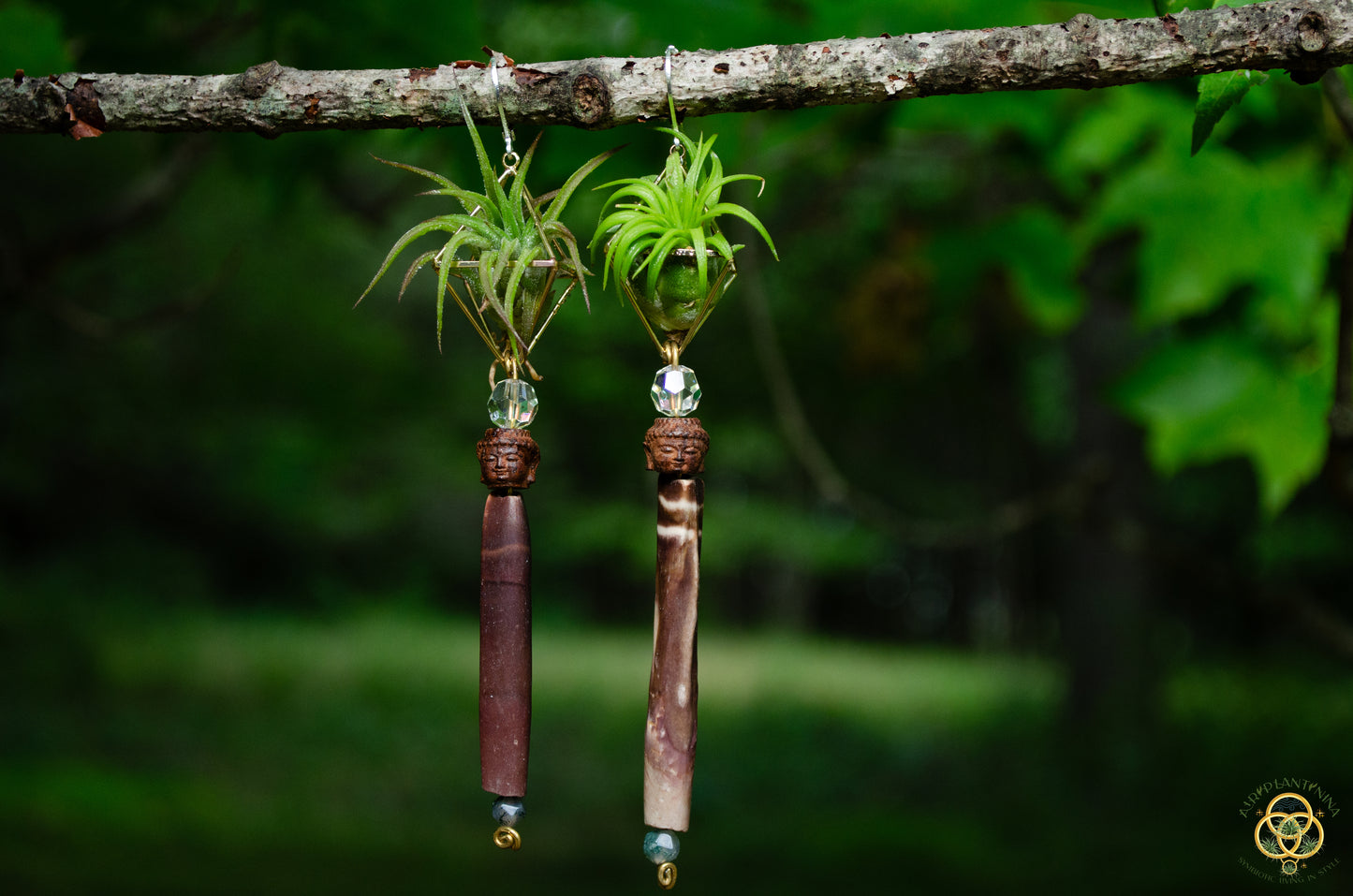 Buddha Air Plant Earrings ~ Diamond Octahedron Earrings